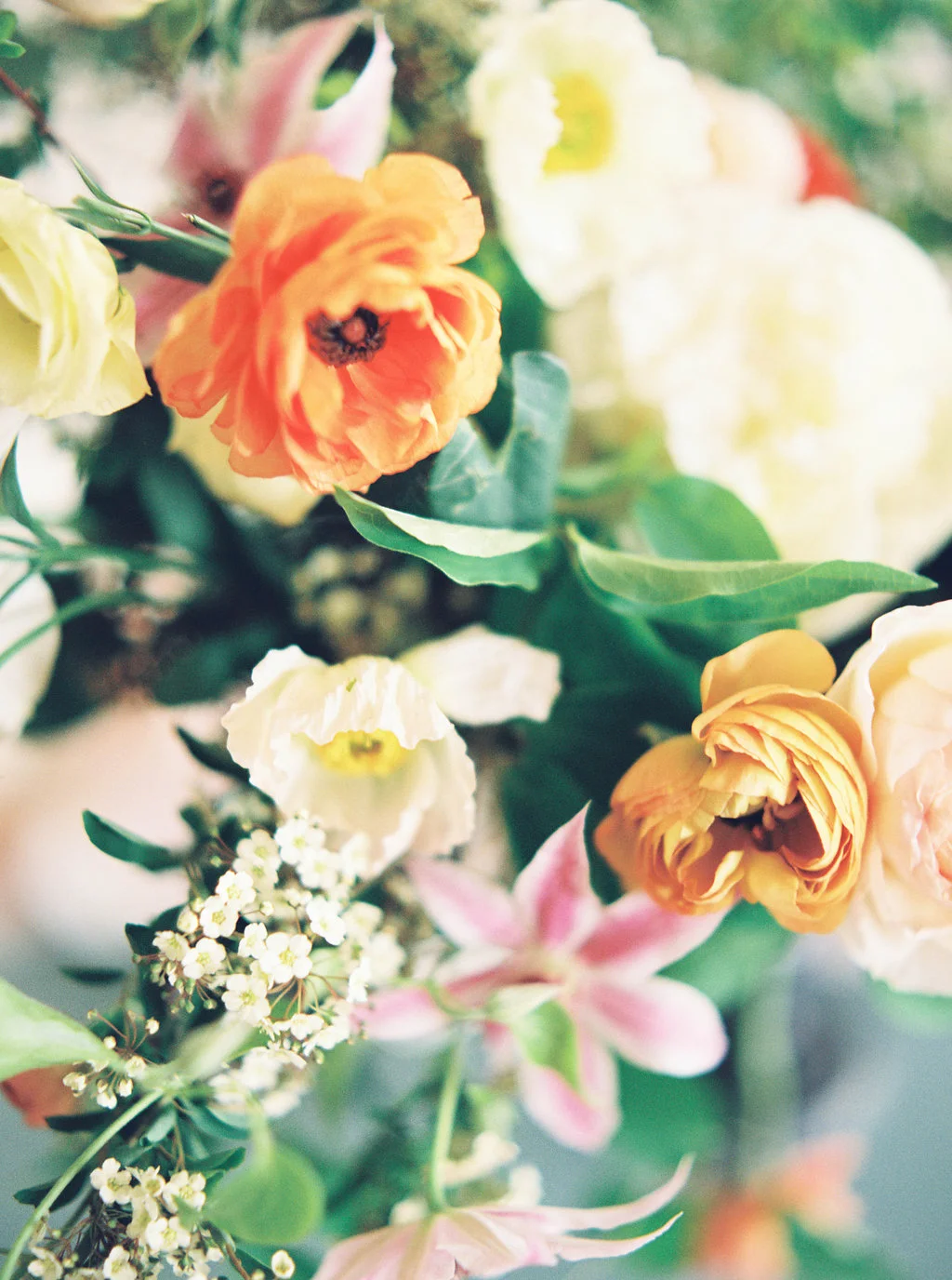   Sarah Carpenter Photography  