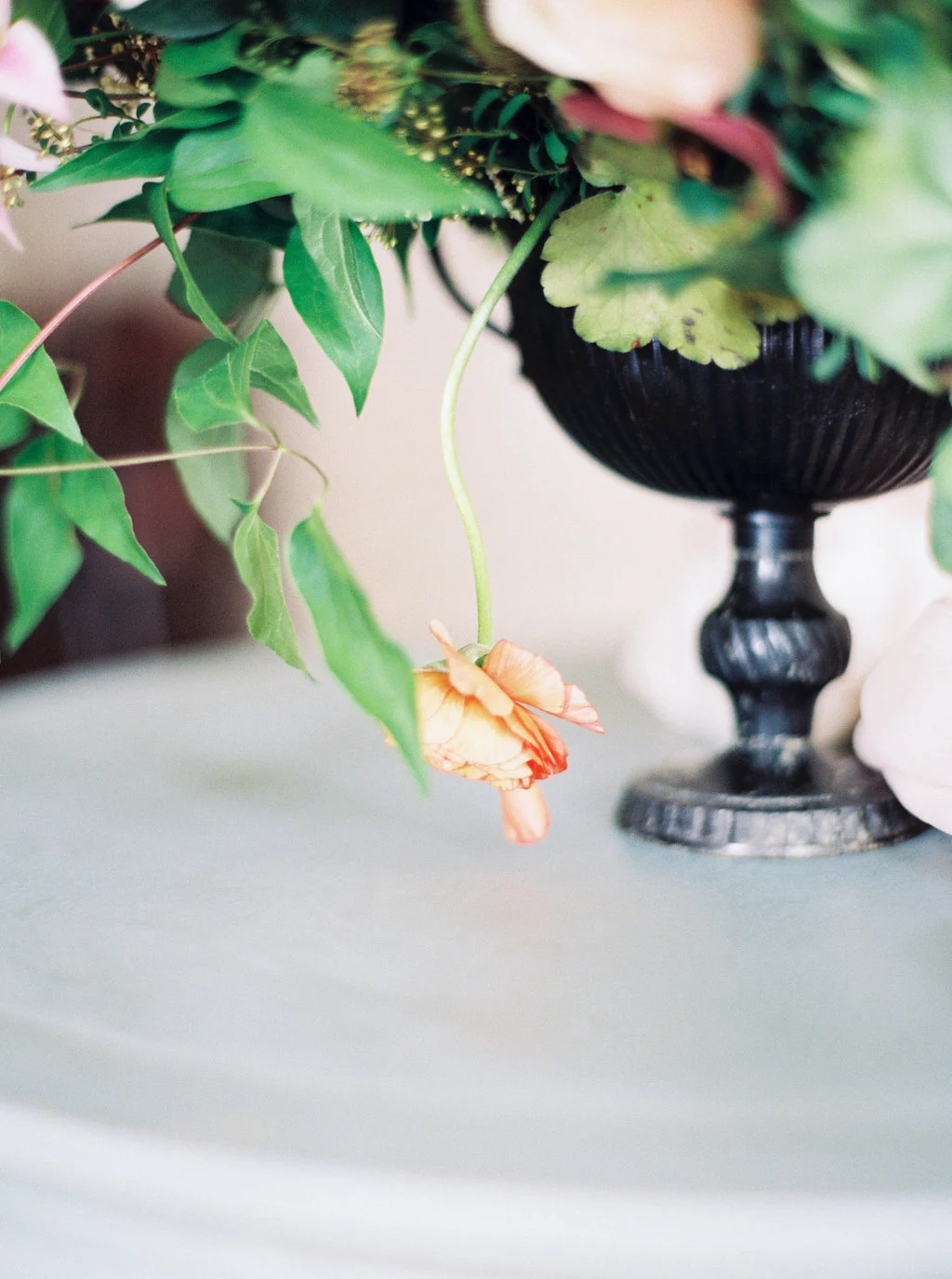   Sarah Carpenter Photography  