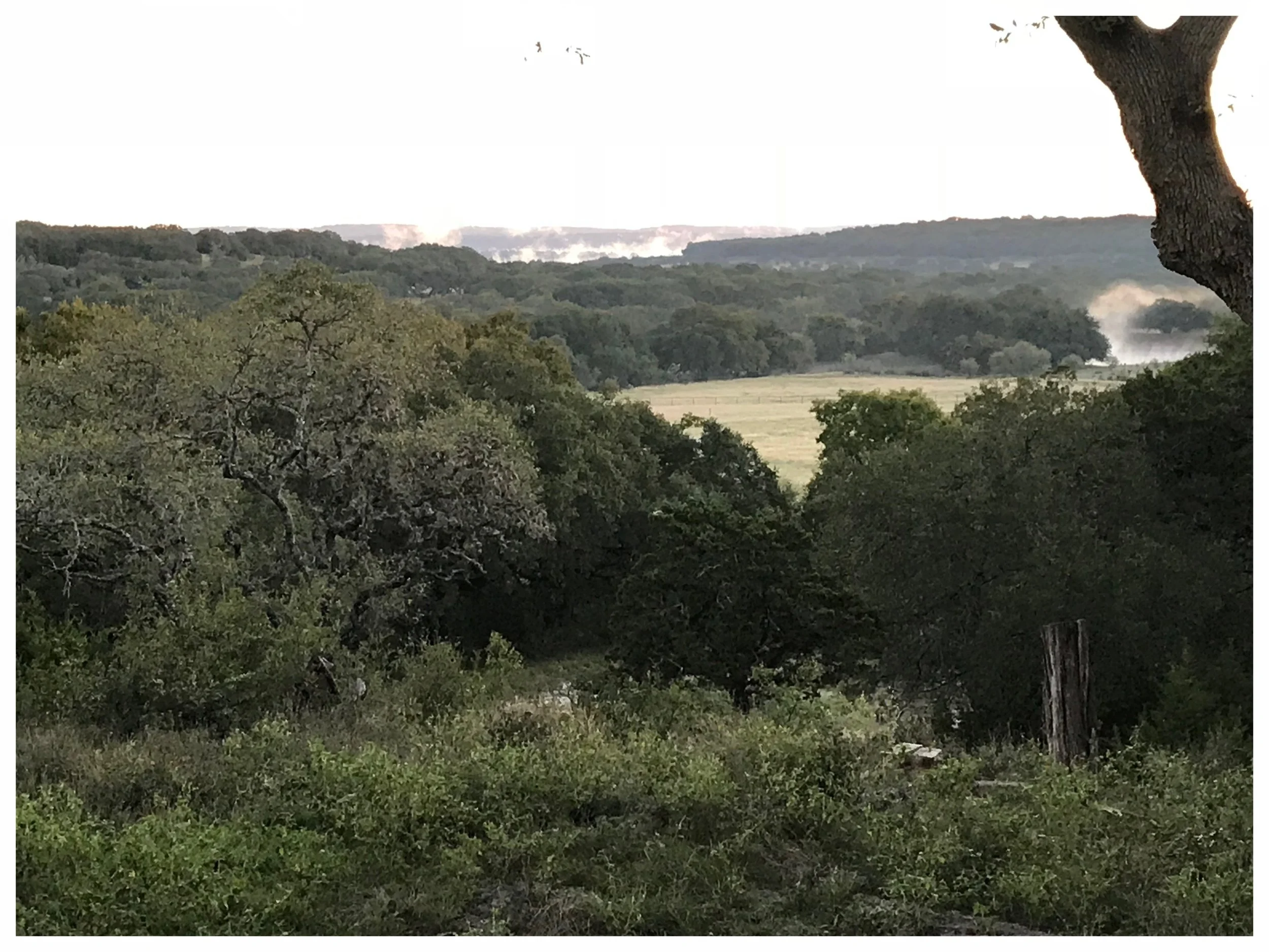 This is the view from our back patio this morning. A thin cloud layer is settling like steam over Canyon Lake, as the sun rises over the hills. It’s truly breathtaking! And what’s even more amazing is how the view is totally different than it was yesterday...or the day before. That’s one of the things I love most about where we live. The view is beautiful... ...and it’s never the same. Each morning is like a new work of art. God’s infinite creativity is on full display, every day. Of course, that’s not just true of the view. Every morning, we have an opportunity to offer a new day to the Lord, like a blank canvas. New encounters, opportunities, challenges, and possibilities provide the colors for a divine work of art. The question is, will we give them to the Master and let Him work? The steadfast love of the Lord never ceases; his mercies never come to an end; they are new every morning; great is your faithfulness. - Lamentations 3:22-23