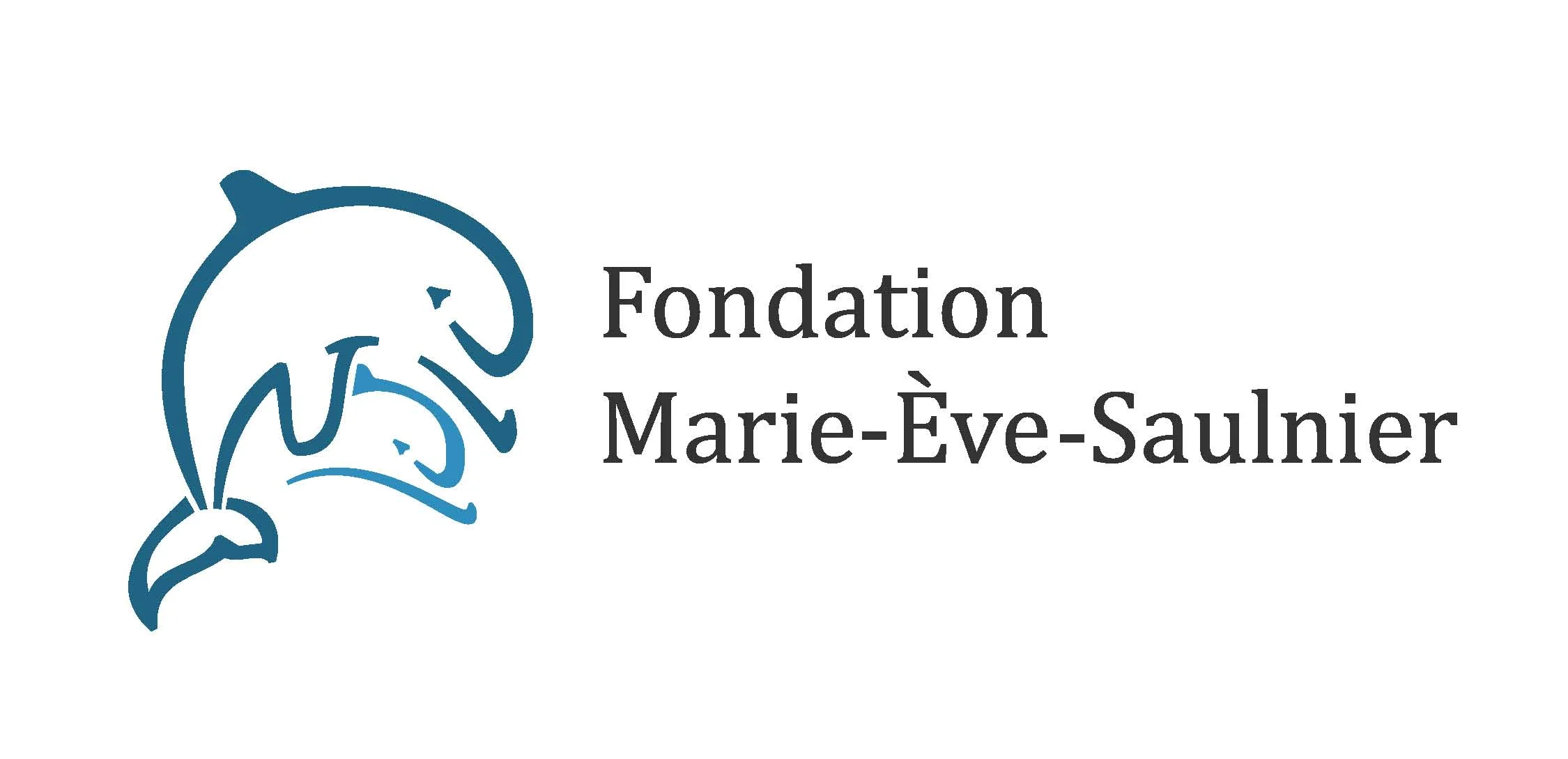 logo_MEV.jpg