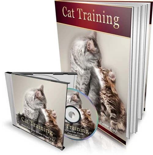 Cat Training ~ Tame Your Wild Kitty