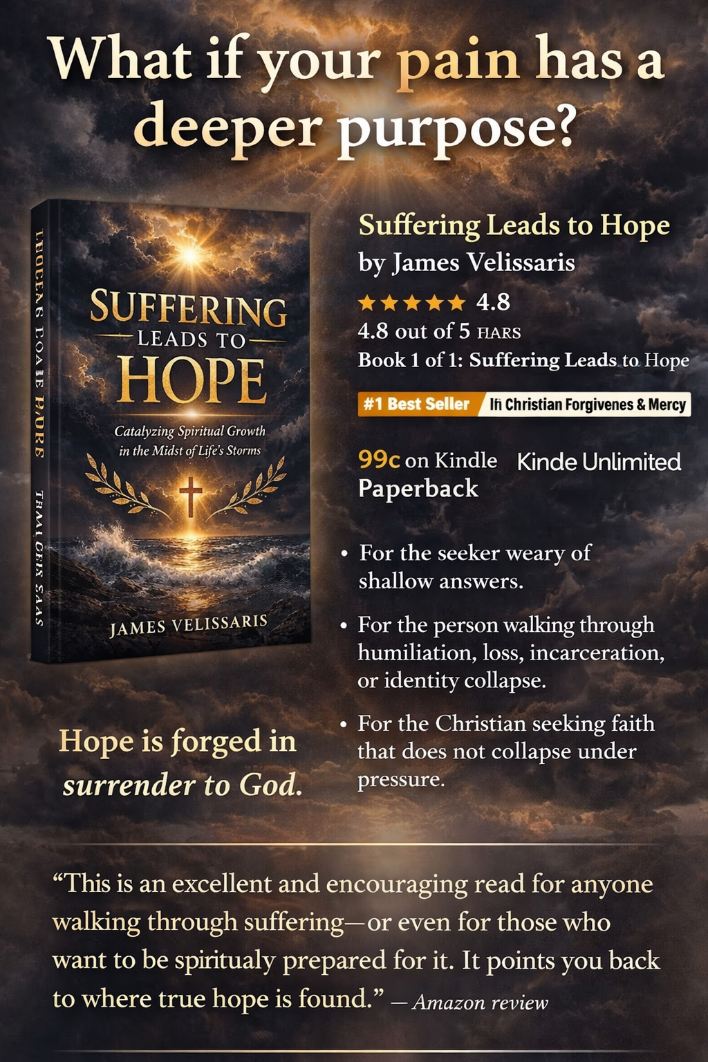 #CHRISTIAN #EBOOK >  A gravity that self-help books rarely have."  Suffering Leads to Hope : Catalyzing Spiritual Growth in the Midst of Life's Storms by James Velissaris 
