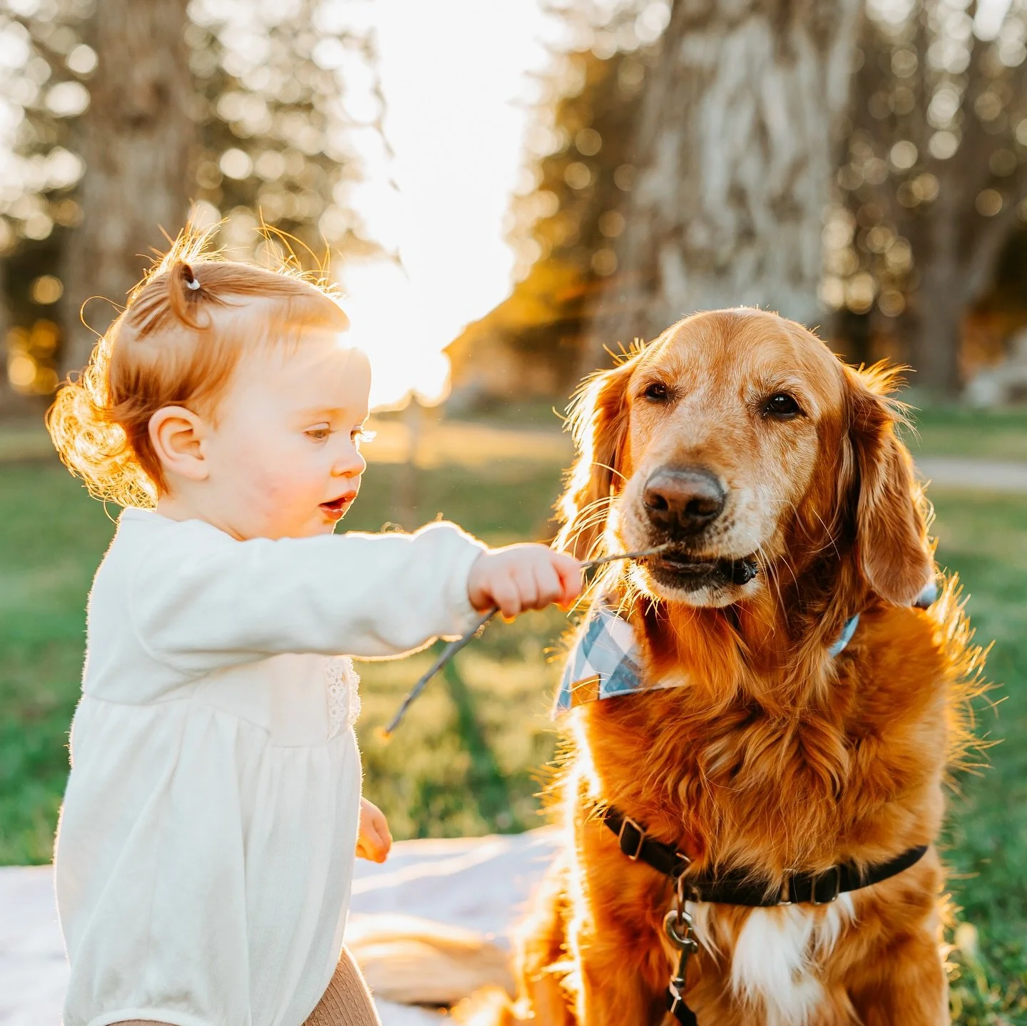 To say I&rsquo;m &ldquo;behind in sharing photos&rdquo; from this year would a massive understatement. This particular session happened way back in April! 

By now this little one has joined us and I&rsquo;m positive is living the best life with her 