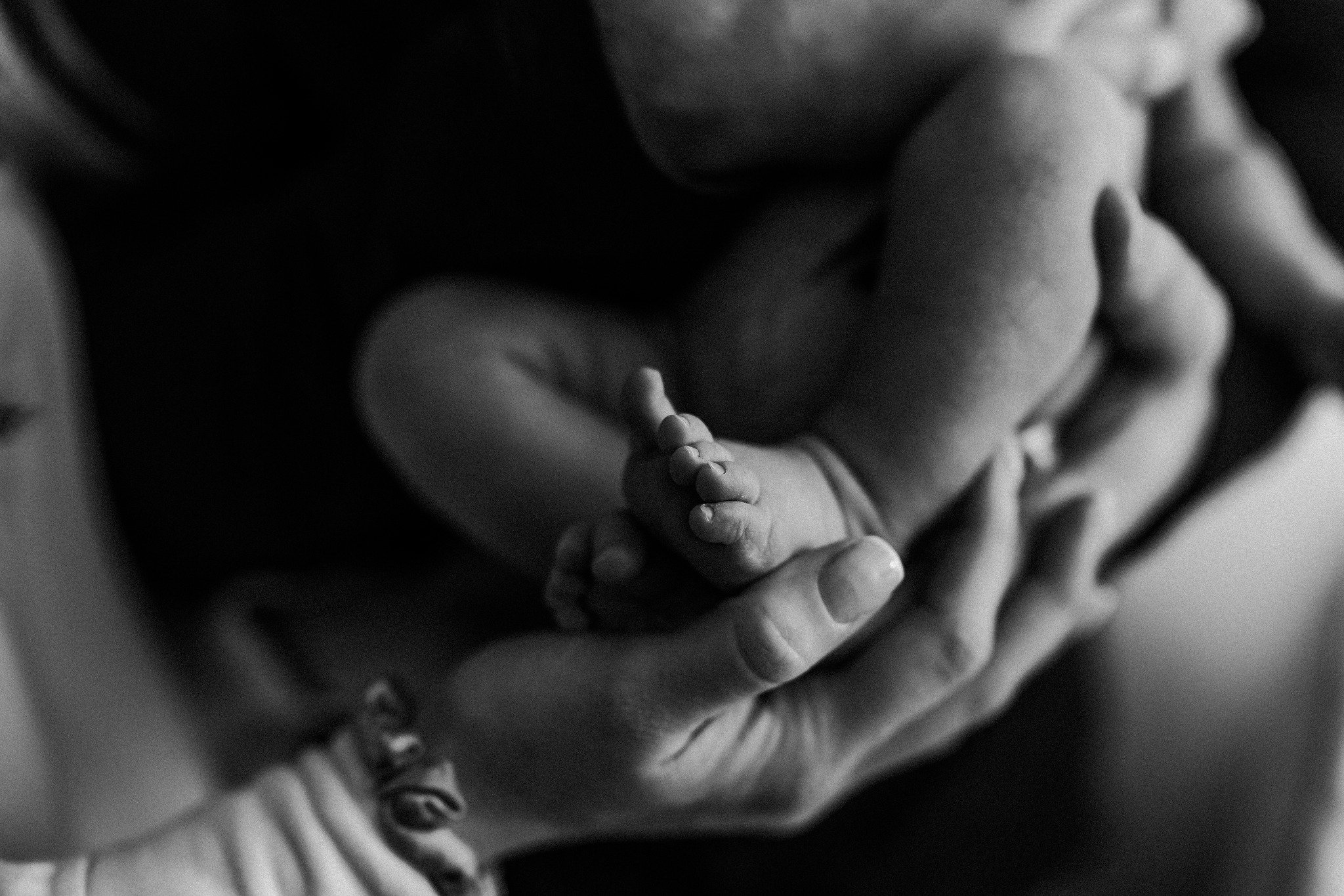 #melissatoyephotography #ottawaweddingphotographer #ottawafamilyphotography #ottawavalley #ottawavalleyphotographer #ottawavalleyfamilyphotographer