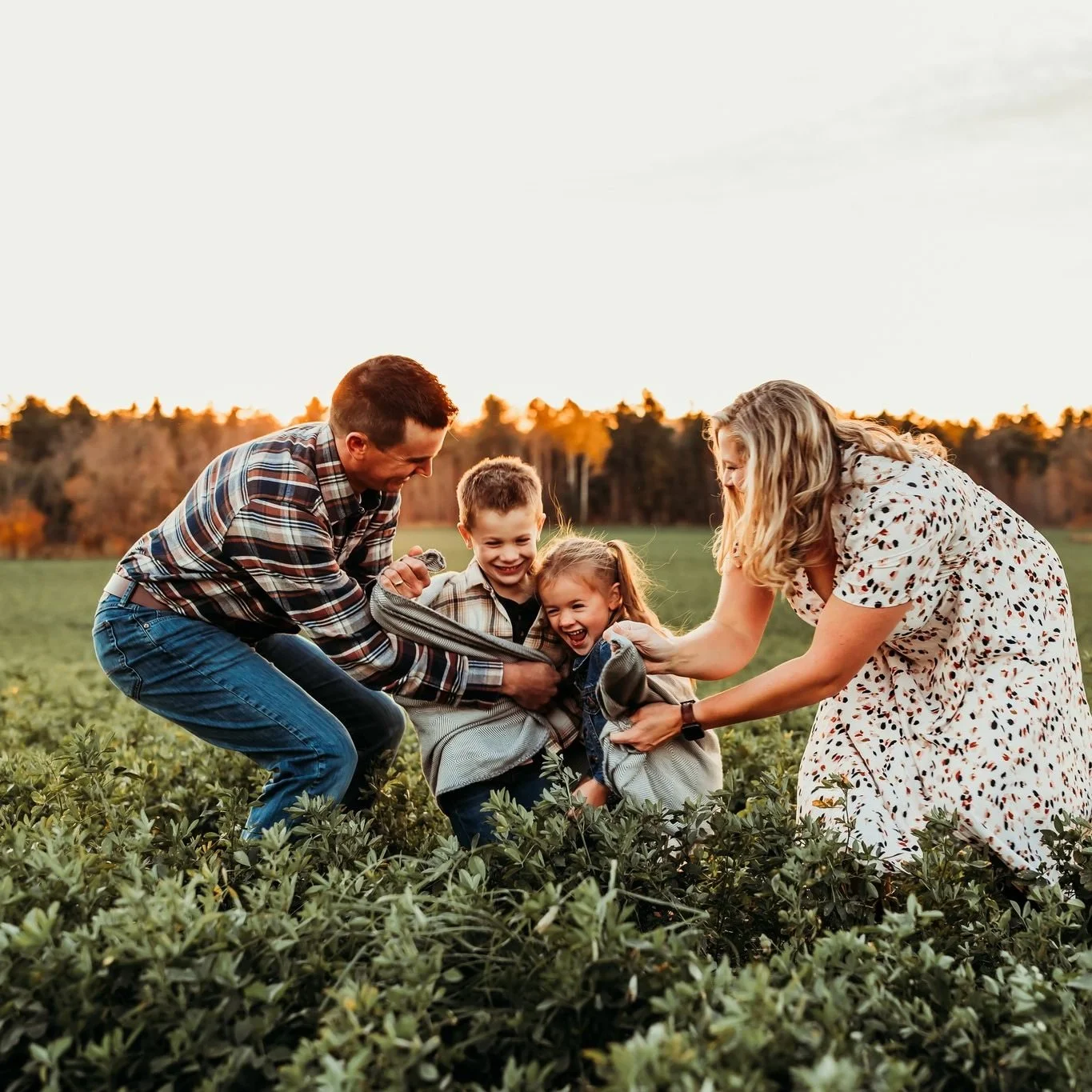 Family of four, including a man, woman, boy, and girl, laughing and playing together in a green field during sunset.