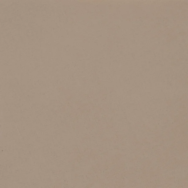 Ash 194