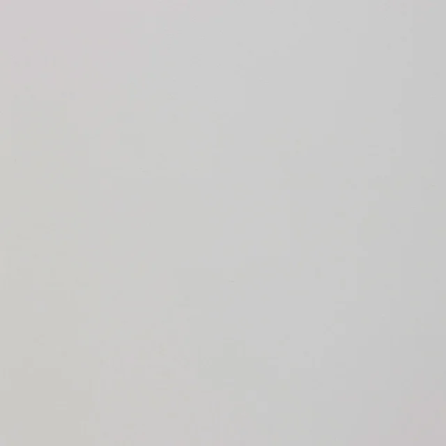 Blizzard50 326