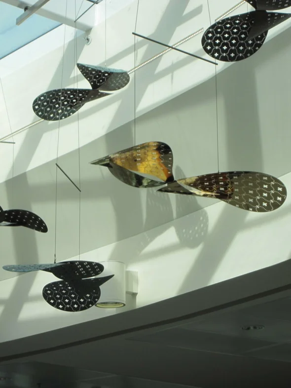 AXOLOTL_BRISBANEAIRPORT_BUTTERFLIES