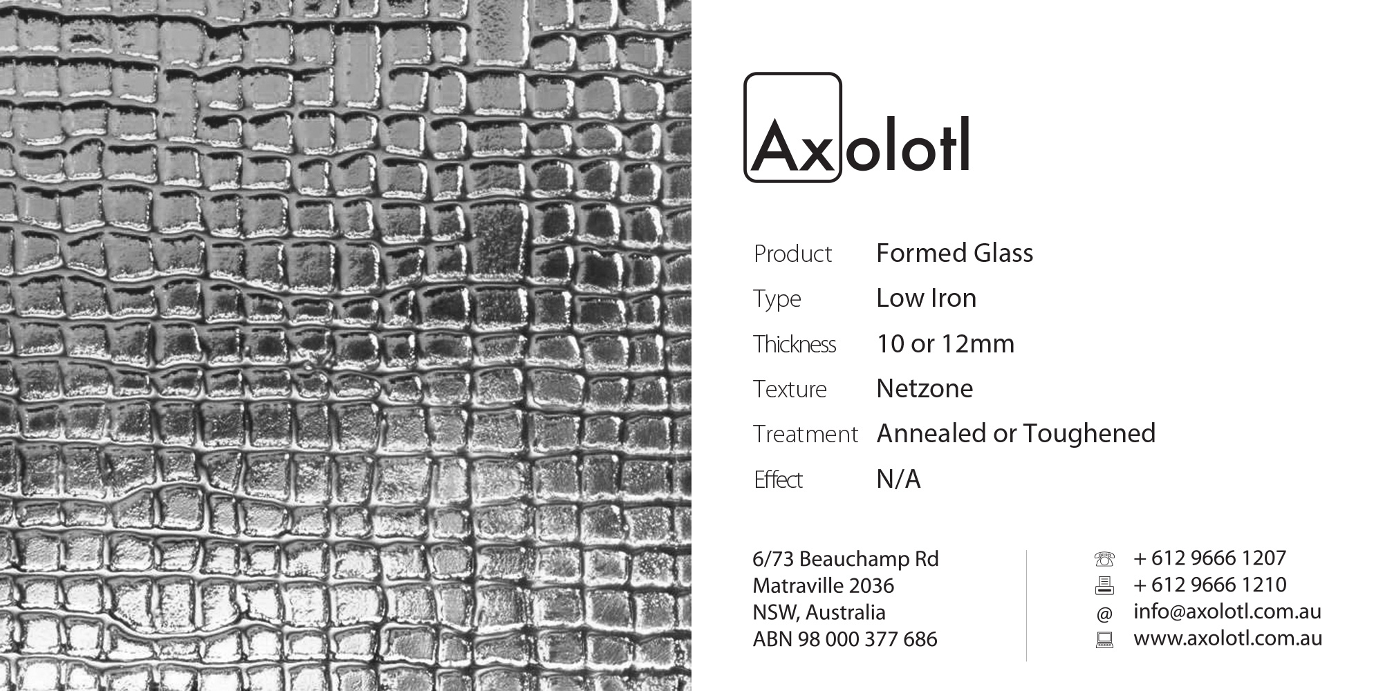 Axolotl_Net_Formed_Glass.jpg