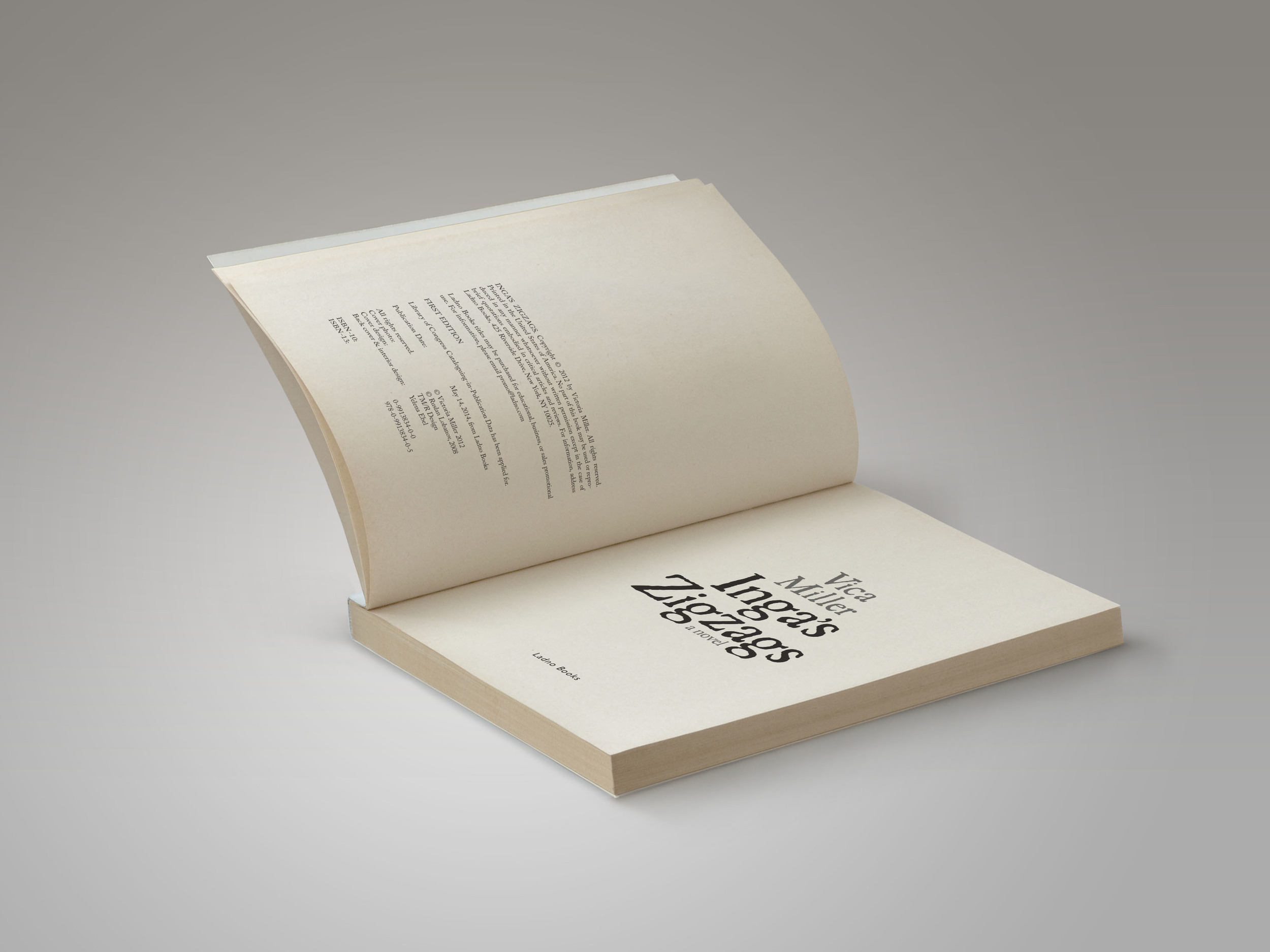zigzags_book_3.jpg