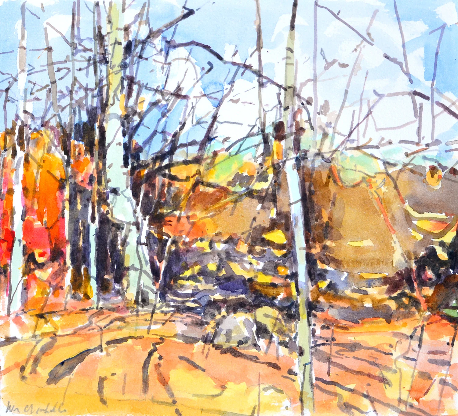 Late Beech II
