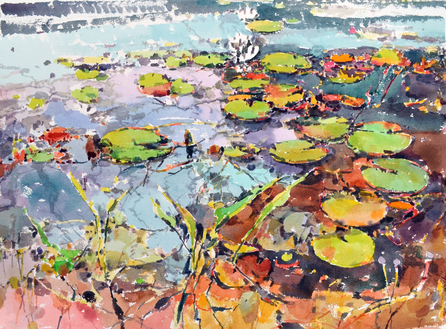 Lily Pads, Late Fall, William Chickillo, 22” x 28” watercolor 