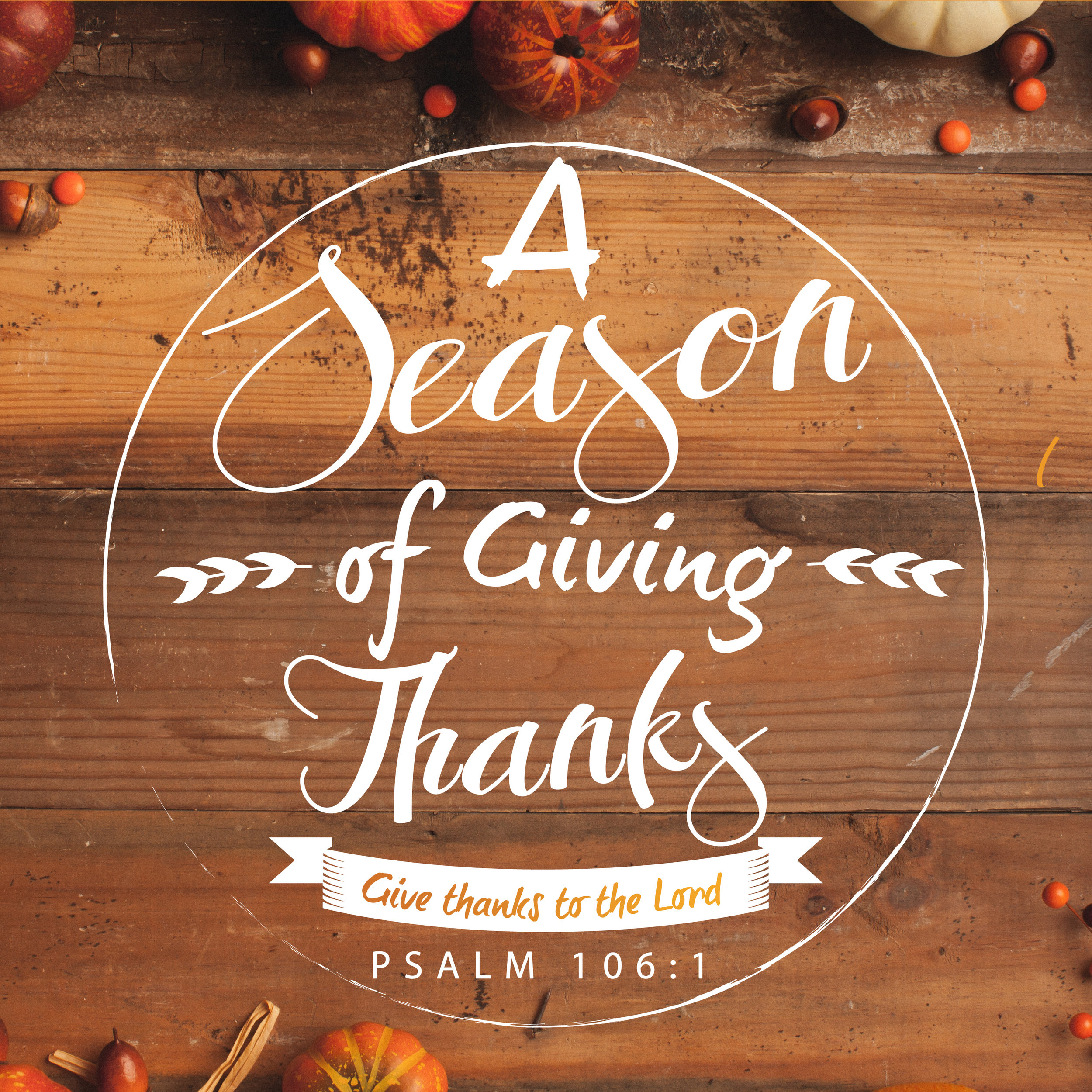 During our Season of Giving Thanks, we’ll be exploring various ways that we can express our thankfulness to God. Over the course of our sermon series, we’ll be focused on expressing that thankfulness in three ways: giving time, giving resources, and simply giving thanks. Each Sunday, we’ll be focusing on the same theme in both worship services.