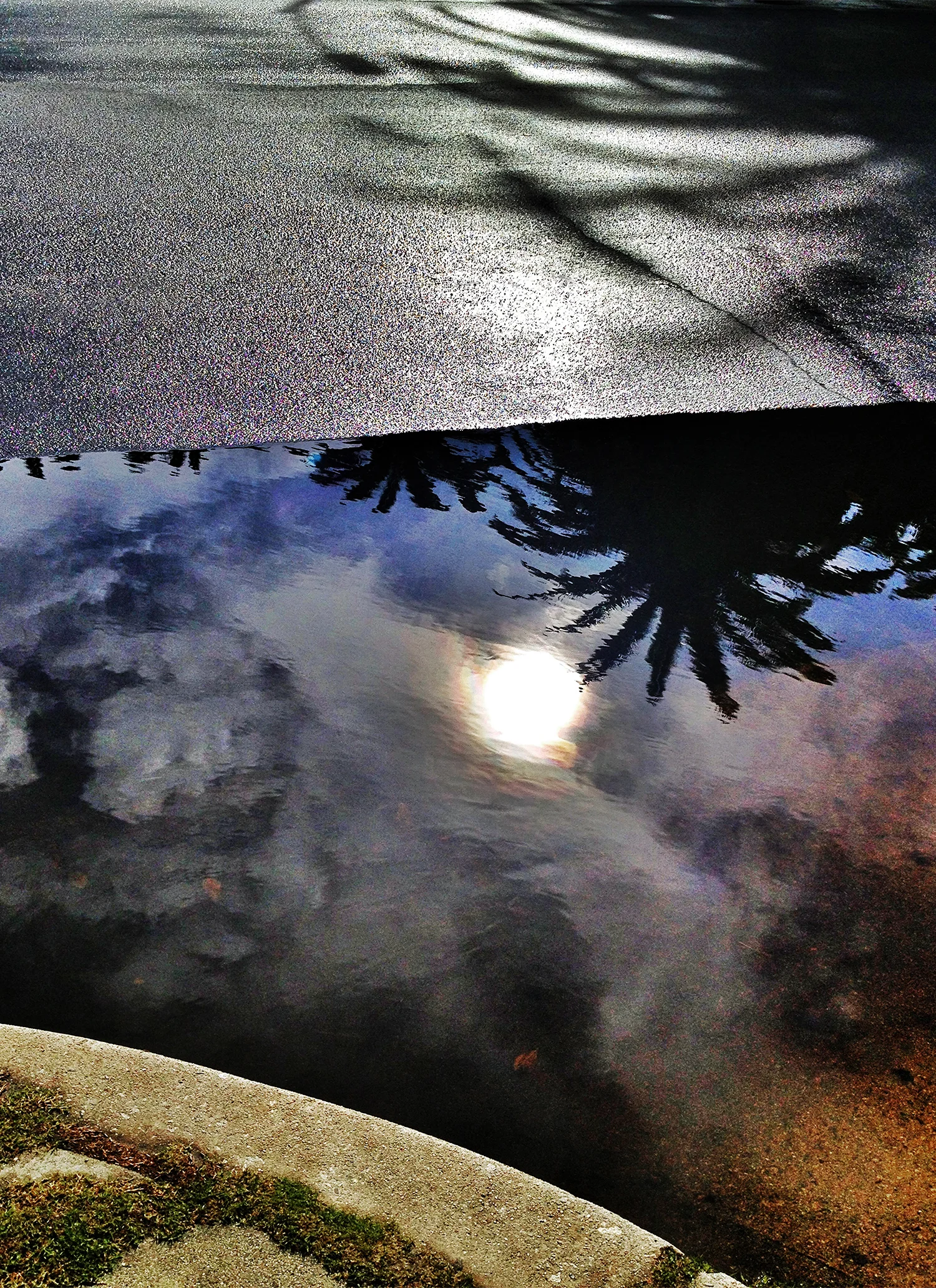 california reflected