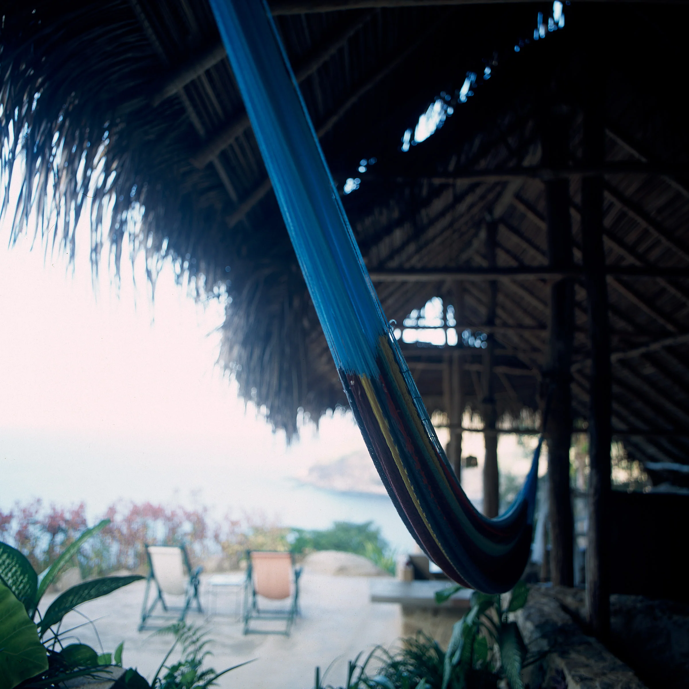 palapahammock.jpg