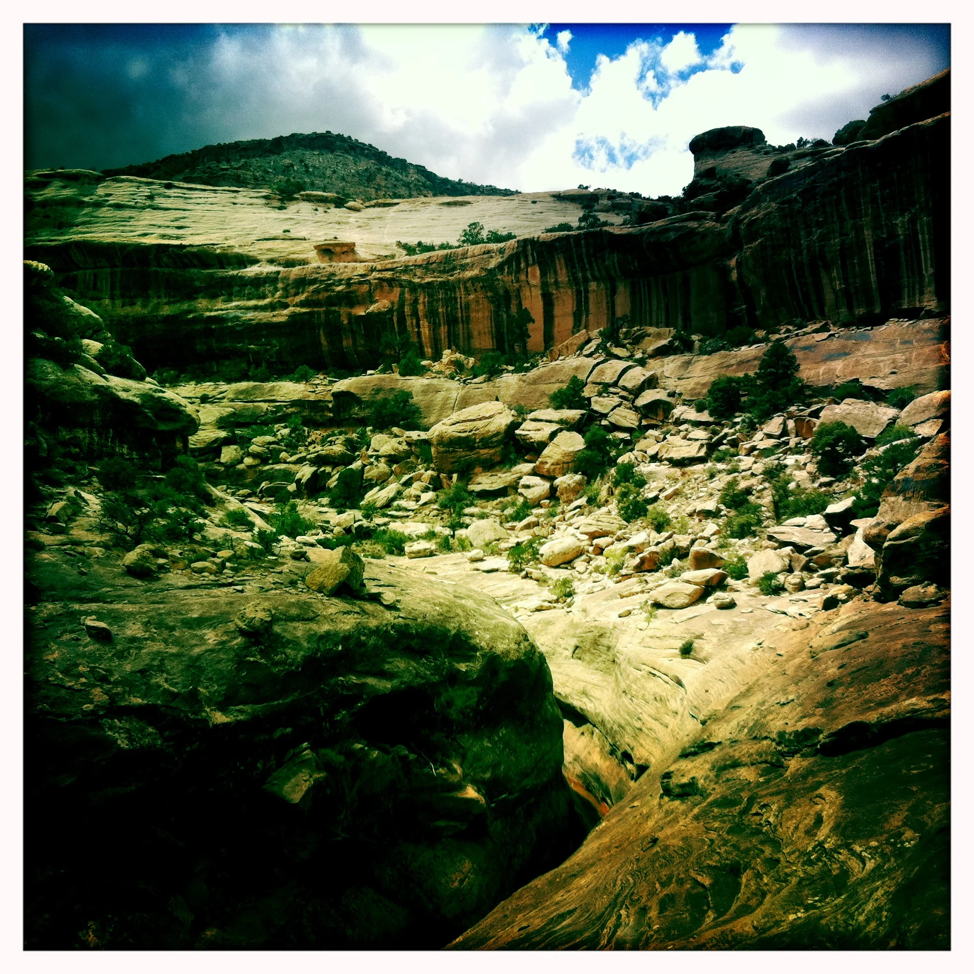  George Schmidt
www.georgeschmidtpaintings.com
718-938-0242 
