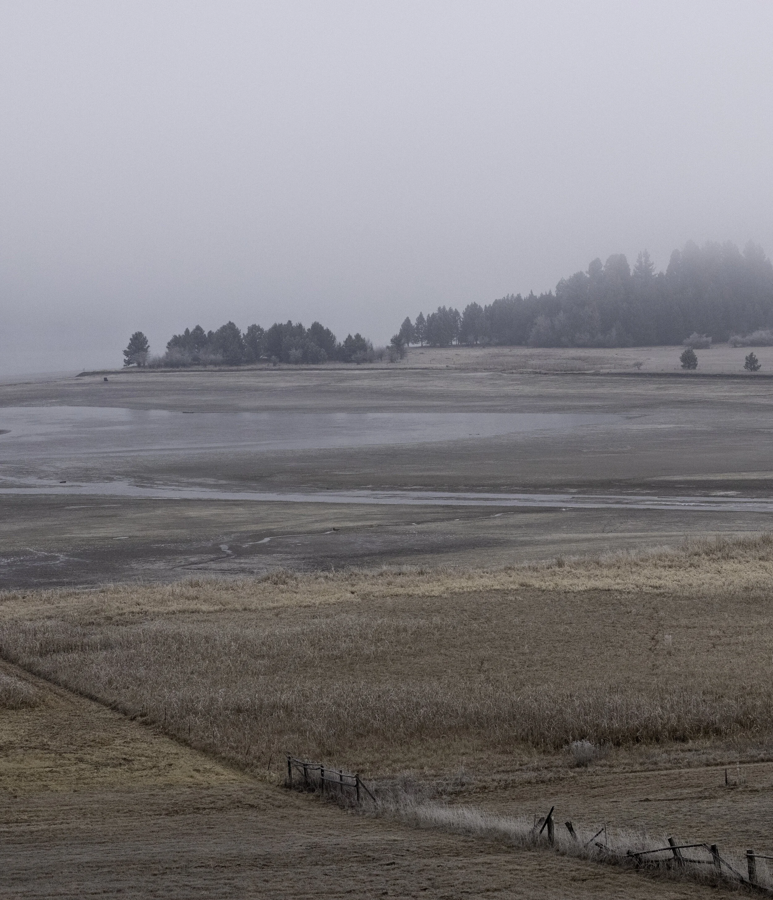 foggy_morning_crop.jpg