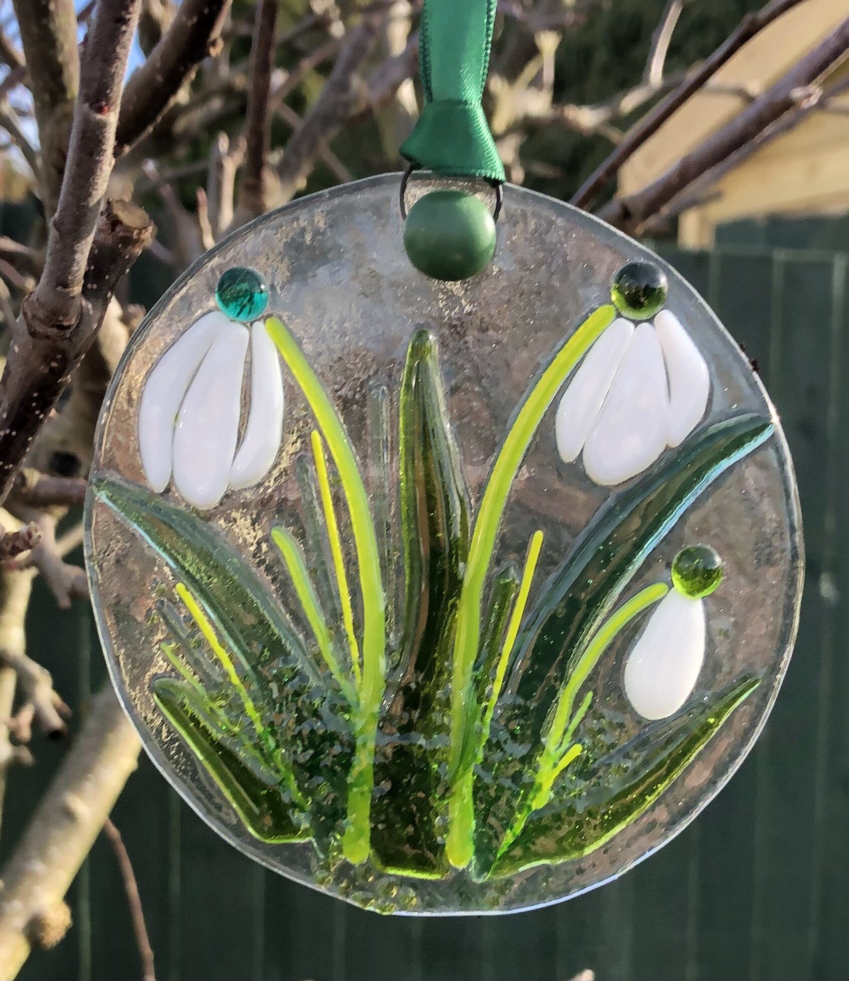 SNOWDROP2.jpeg