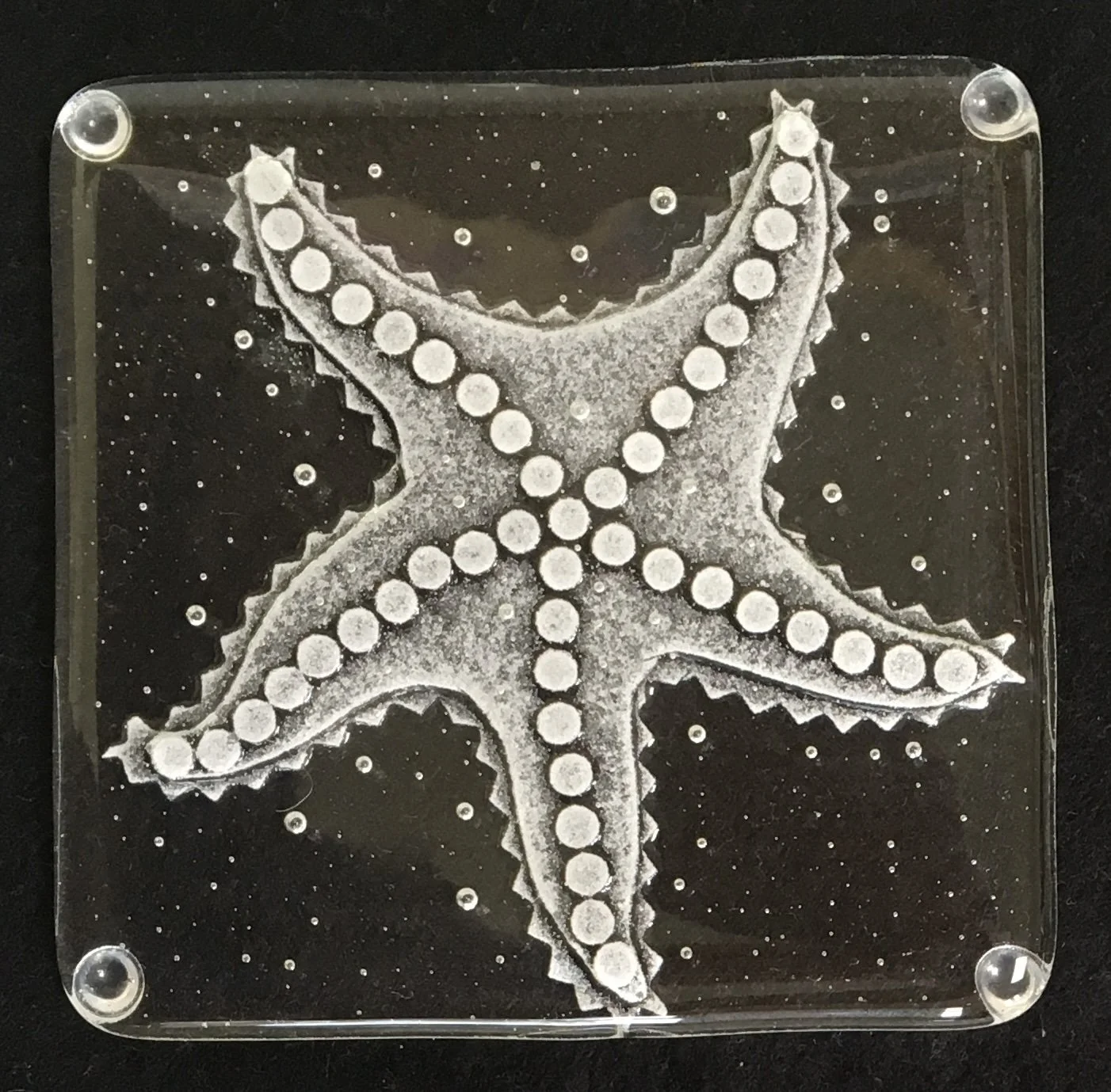 Starfish Coaster