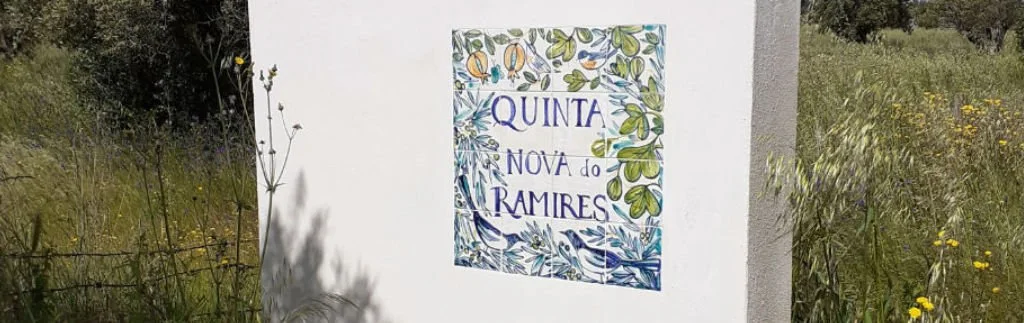 BANNER 4.jpg