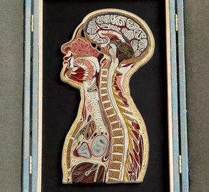 Tissue Project by Lisa Nilsson