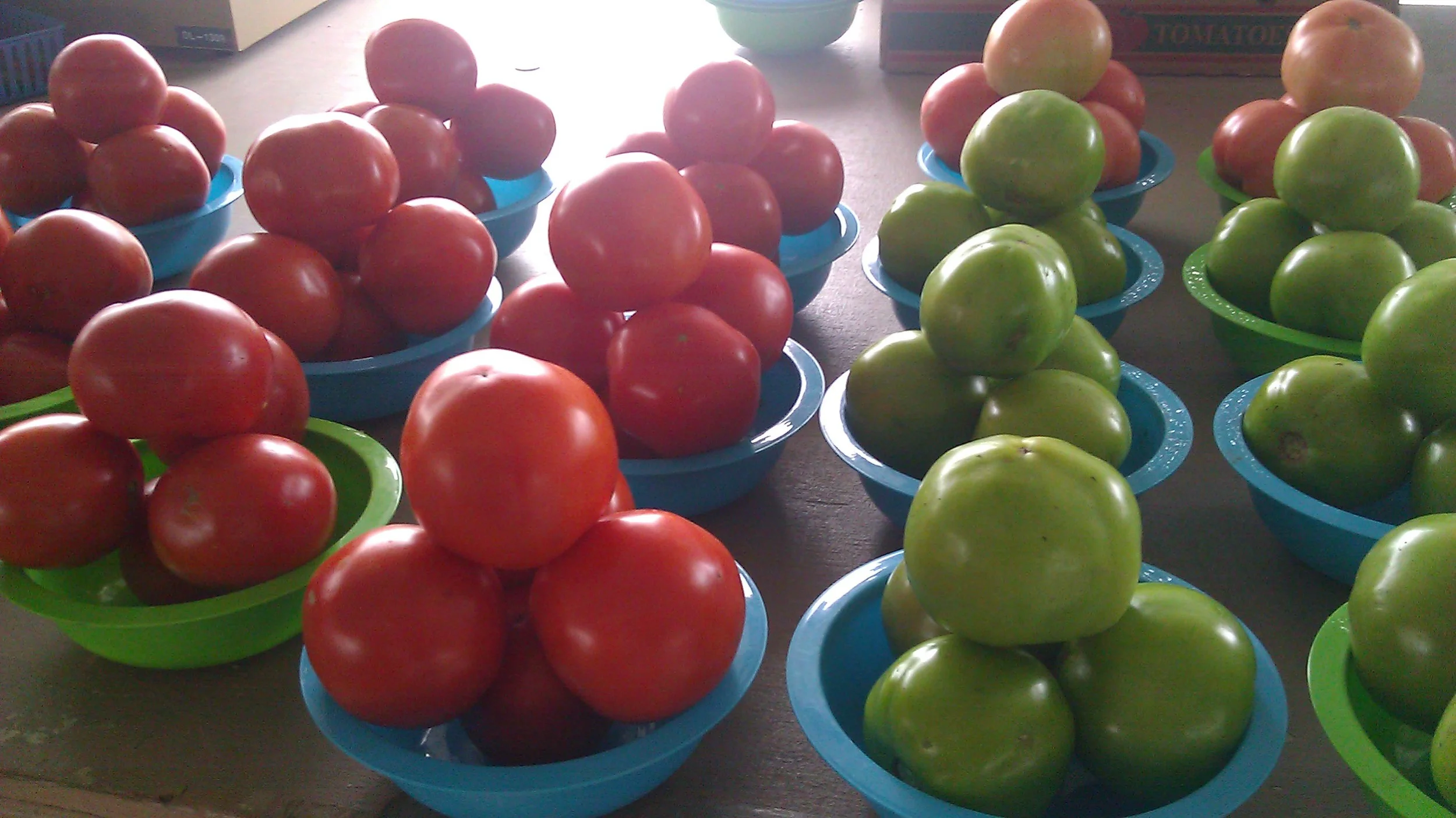 Tomatoes from the local farm stand.
