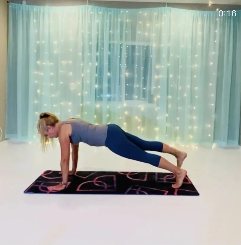 Exercise 1 : Plank w/ leg extension.   Click the image to see the full movement.