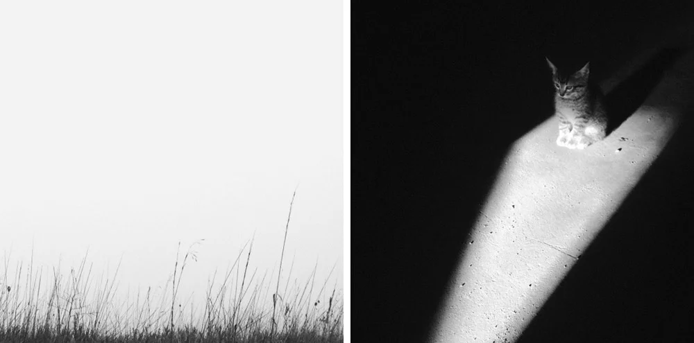 Eric-Yerke-Photography-2013-093.jpg