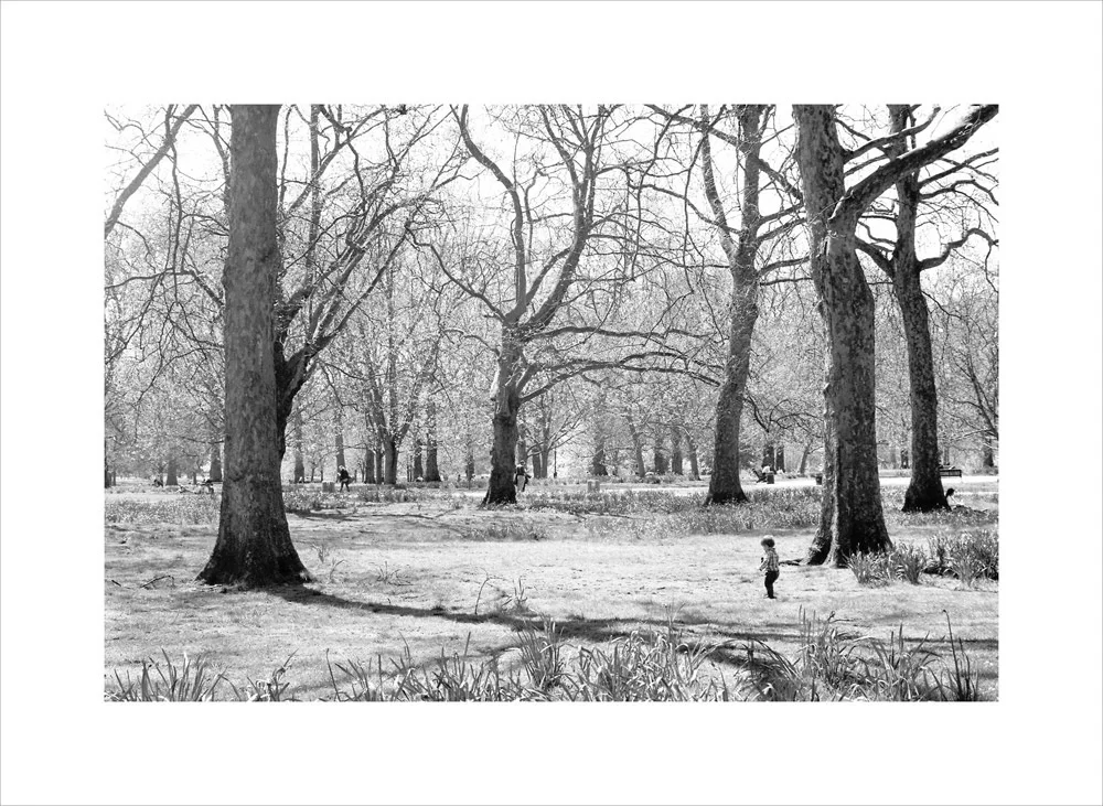 Eric-Yerke-Photography-2013-096.jpg