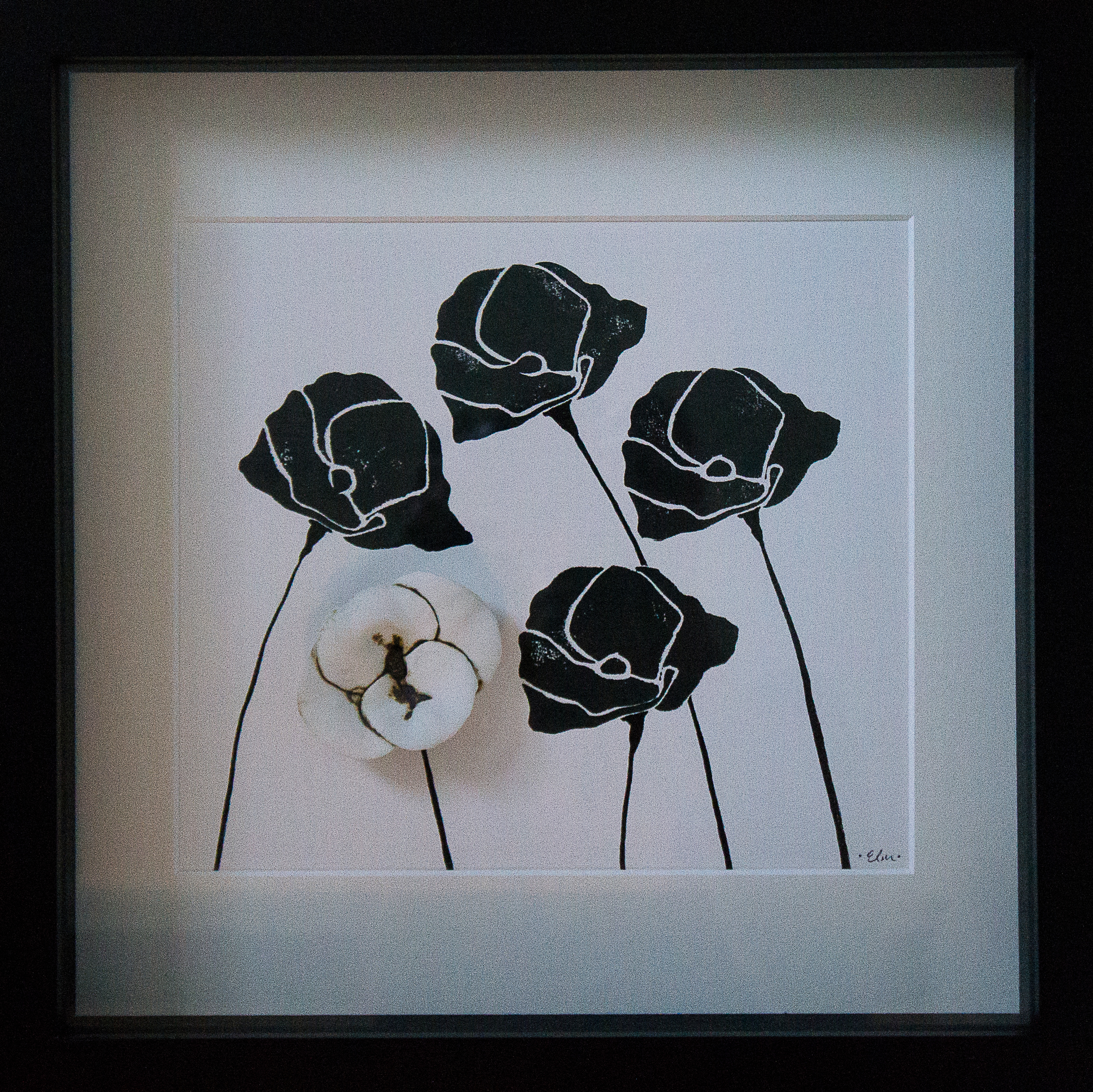 Poppies in Black & White #1