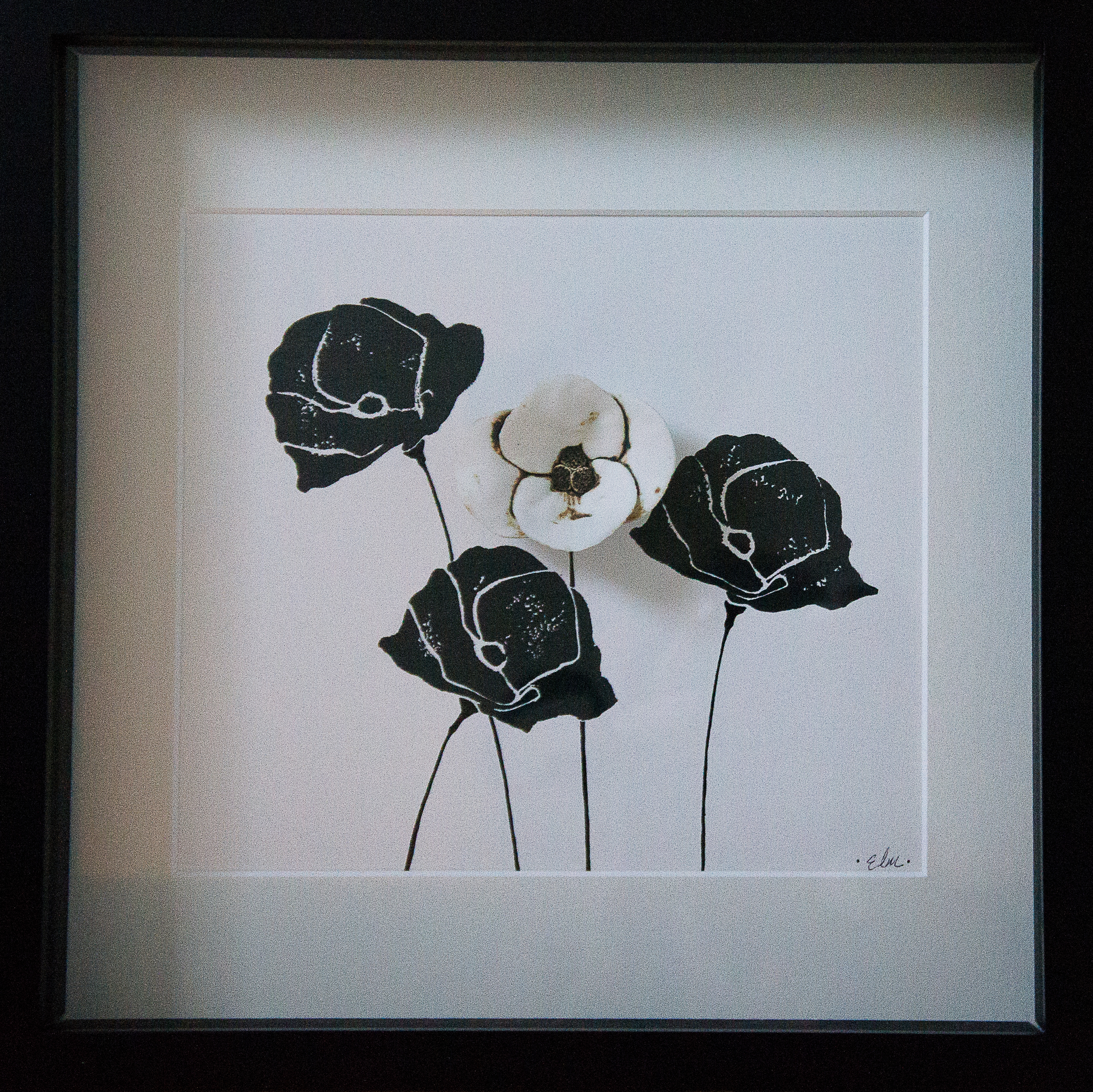 Poppies in Black & White #2