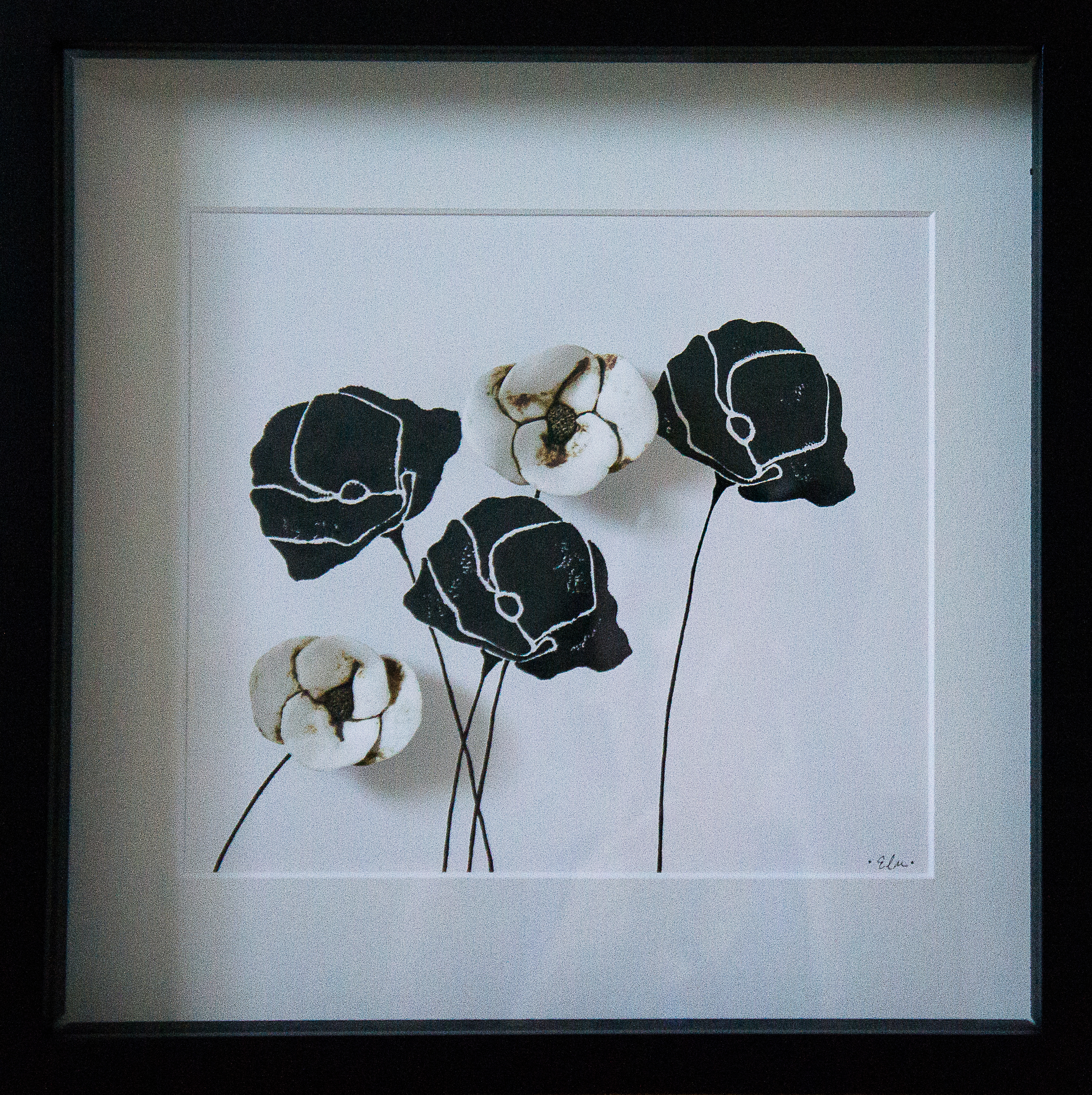 Poppies in Black & White #4