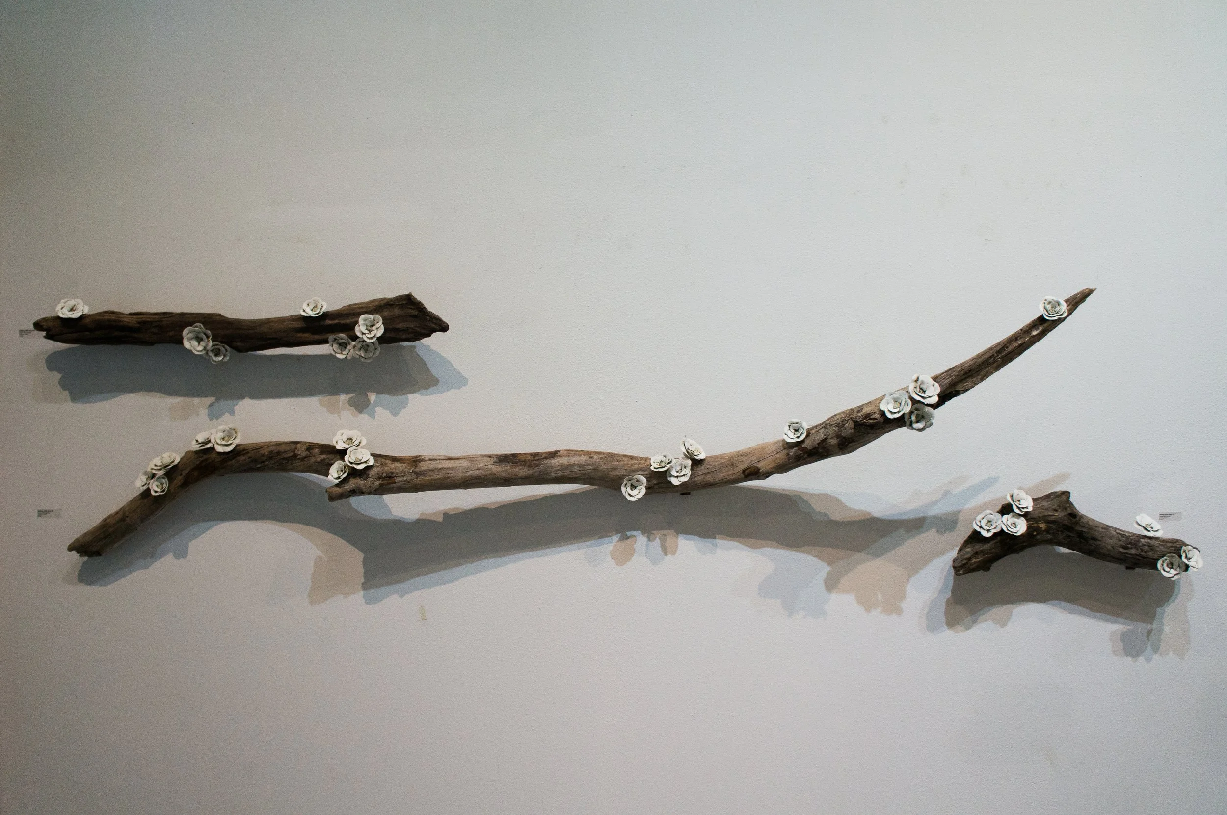 Drifting Branches, 2015
