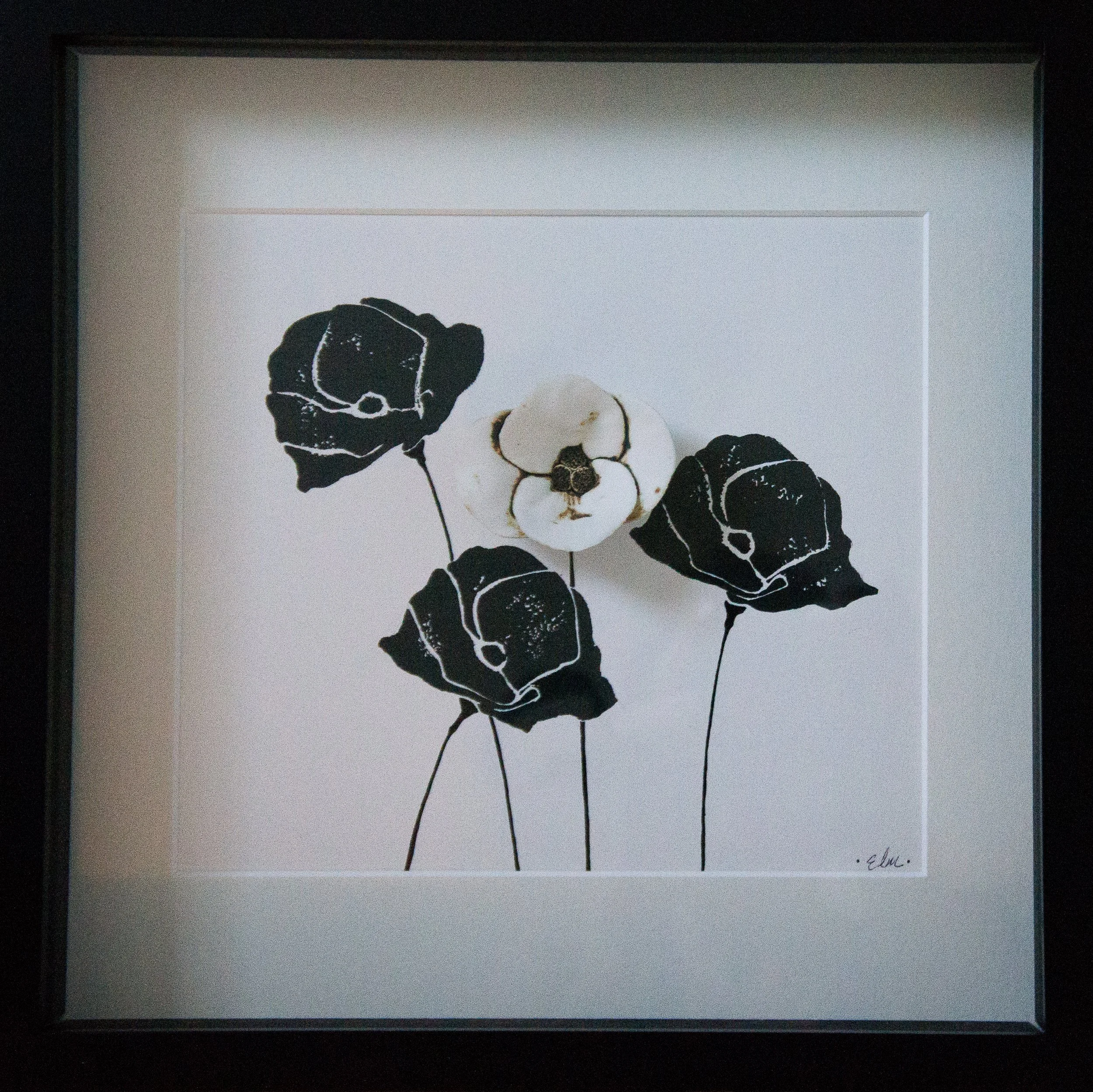 Poppy Series, 2015