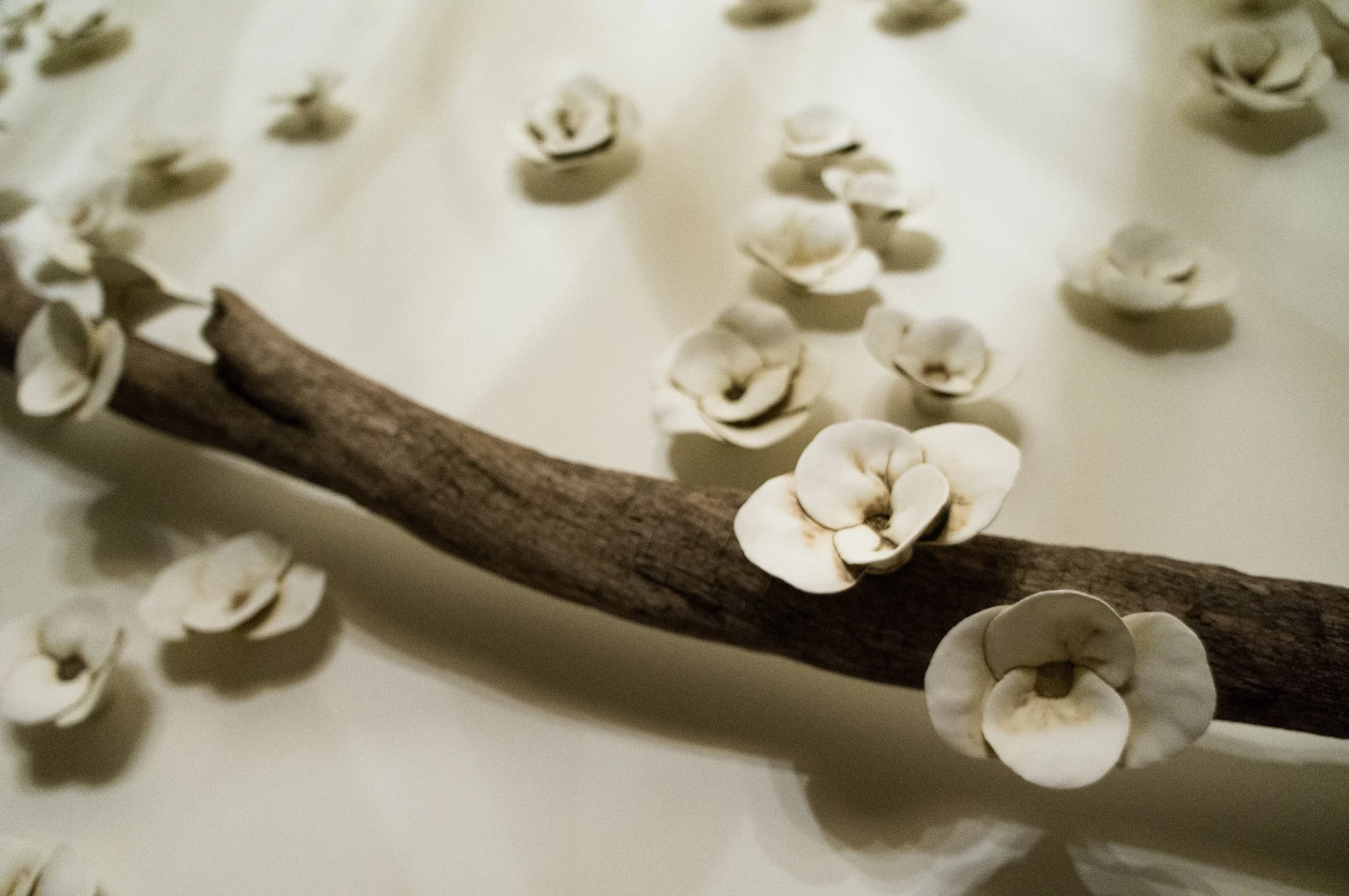 Home Installation, 2016 (detail)
