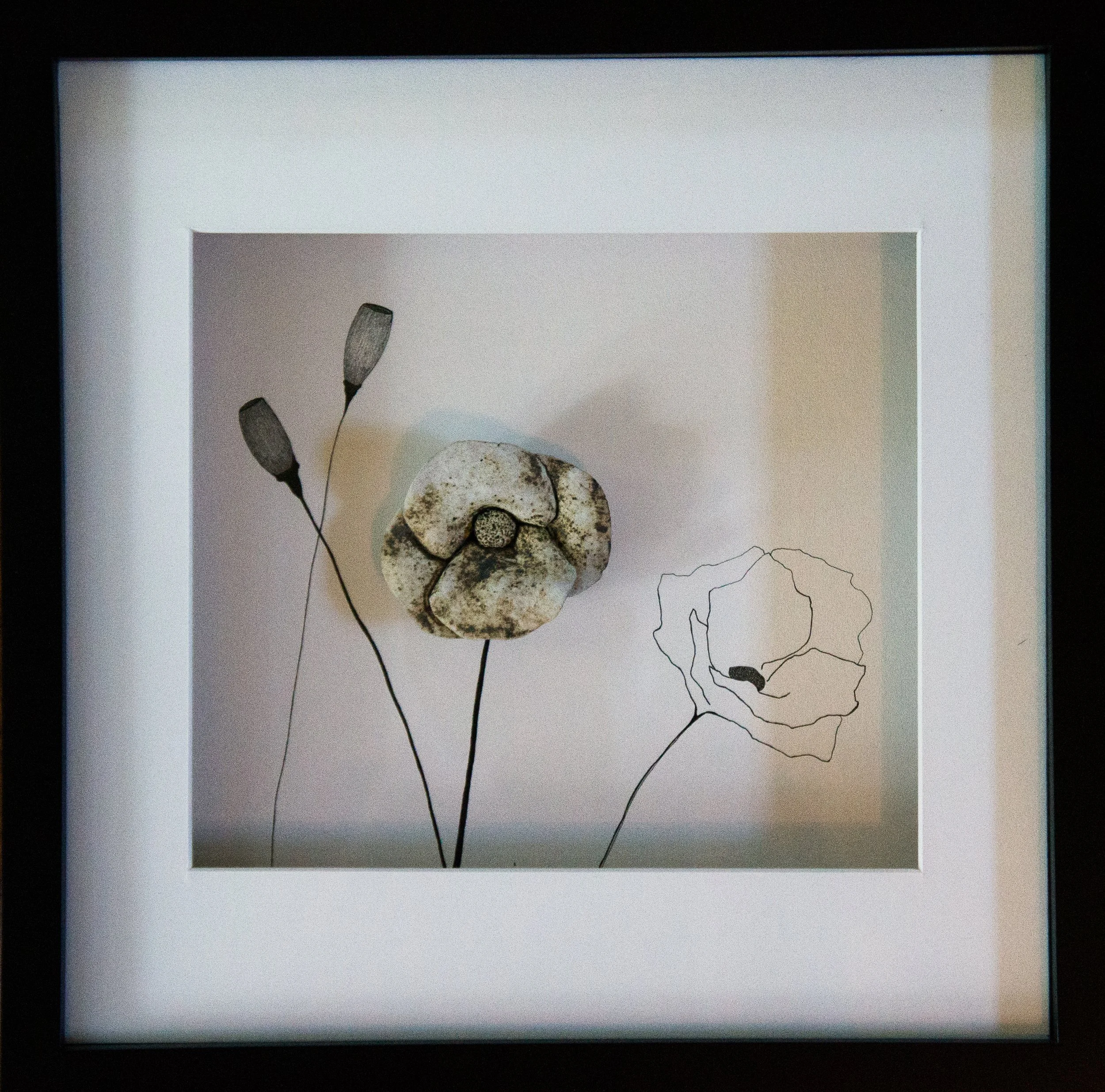 Poppy Series, 2016