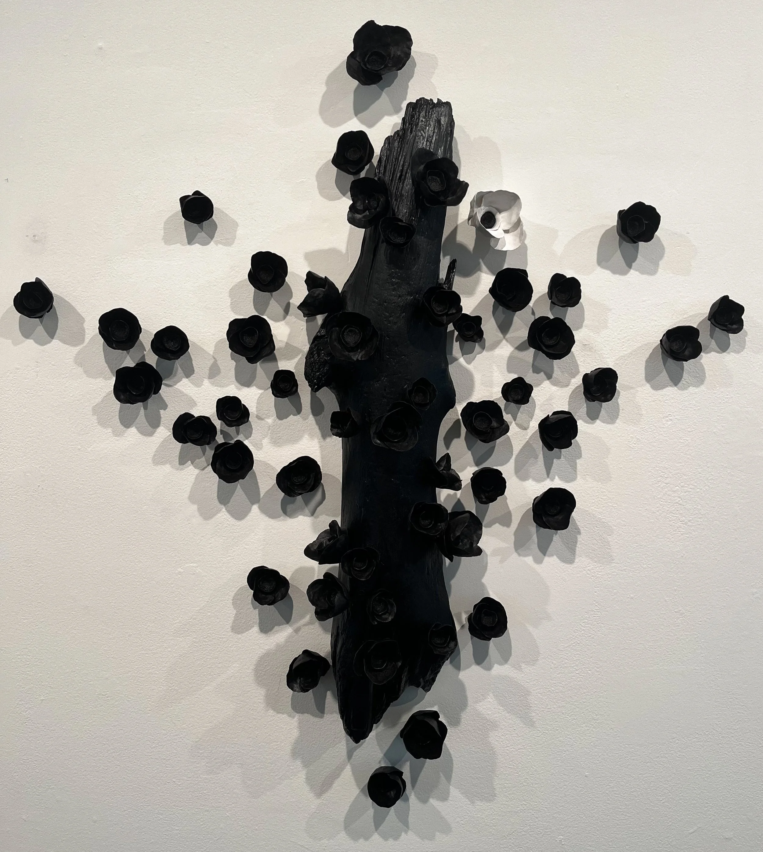 Bloom in Black, 2023