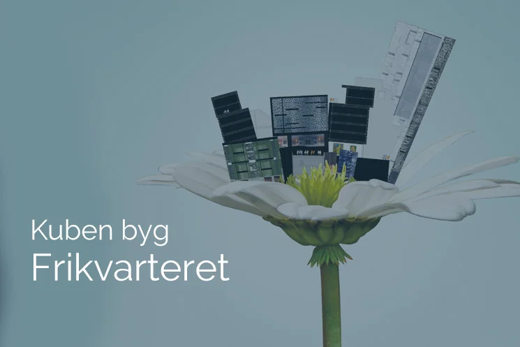 kuben_case.jpg