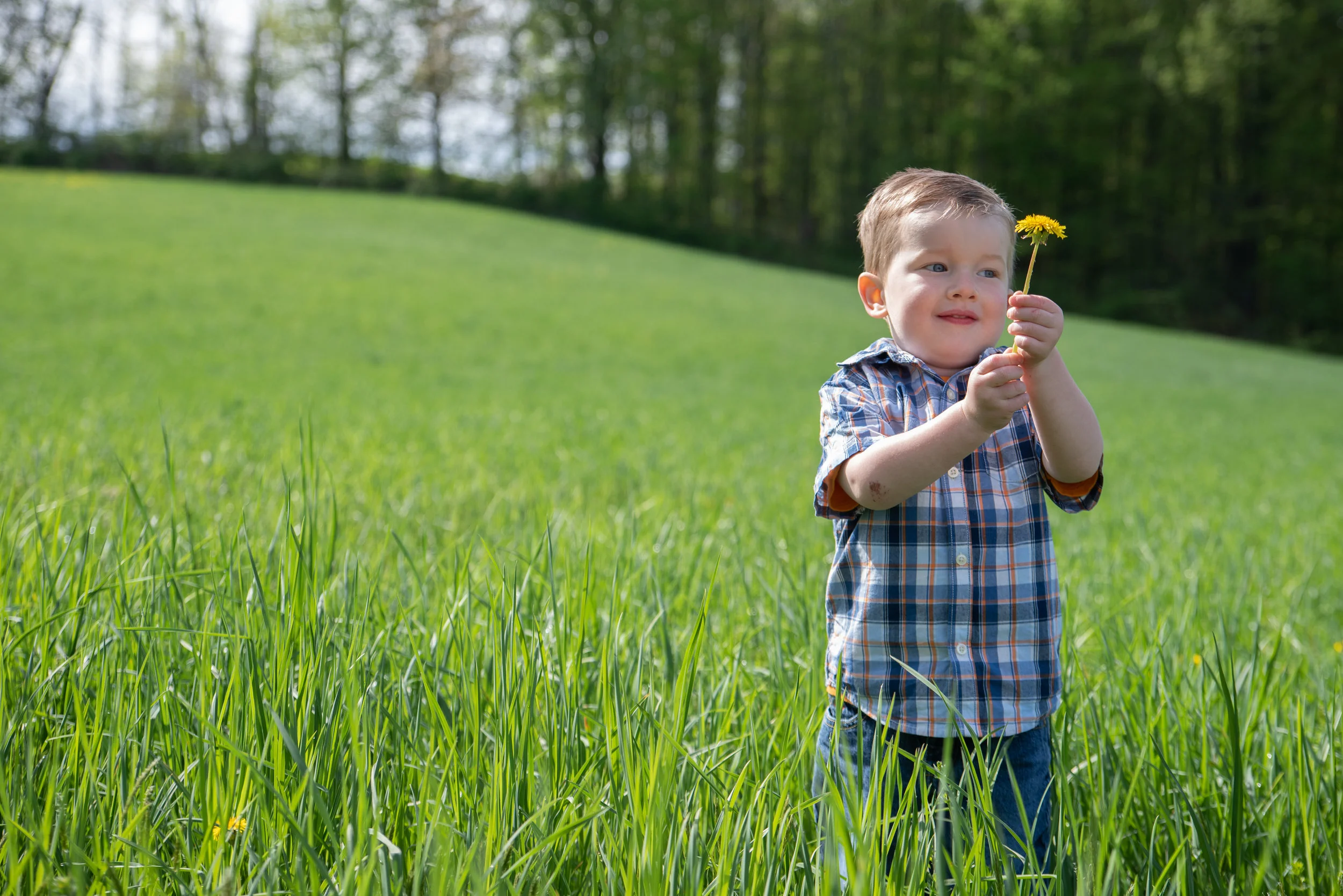 Weston3yo-21.jpg