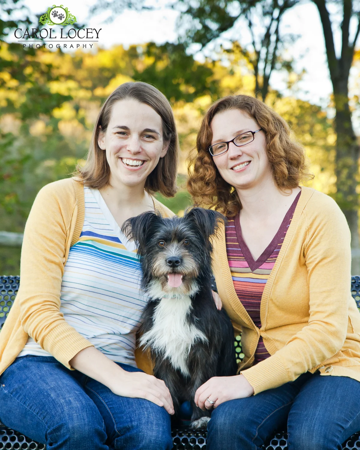 CarolLoceyPhotography_Cincinnati_pet_photographer.jpg