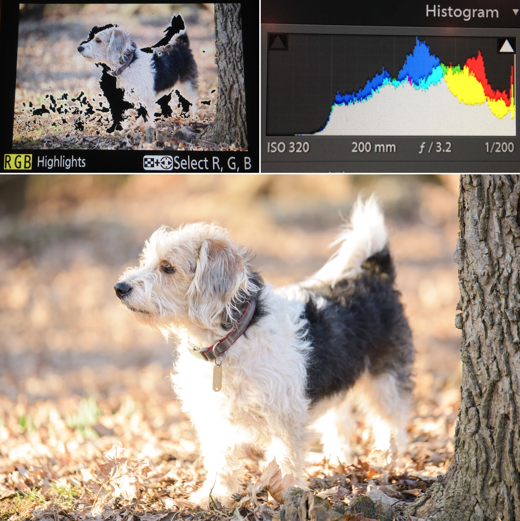Post processing in Lightroom
