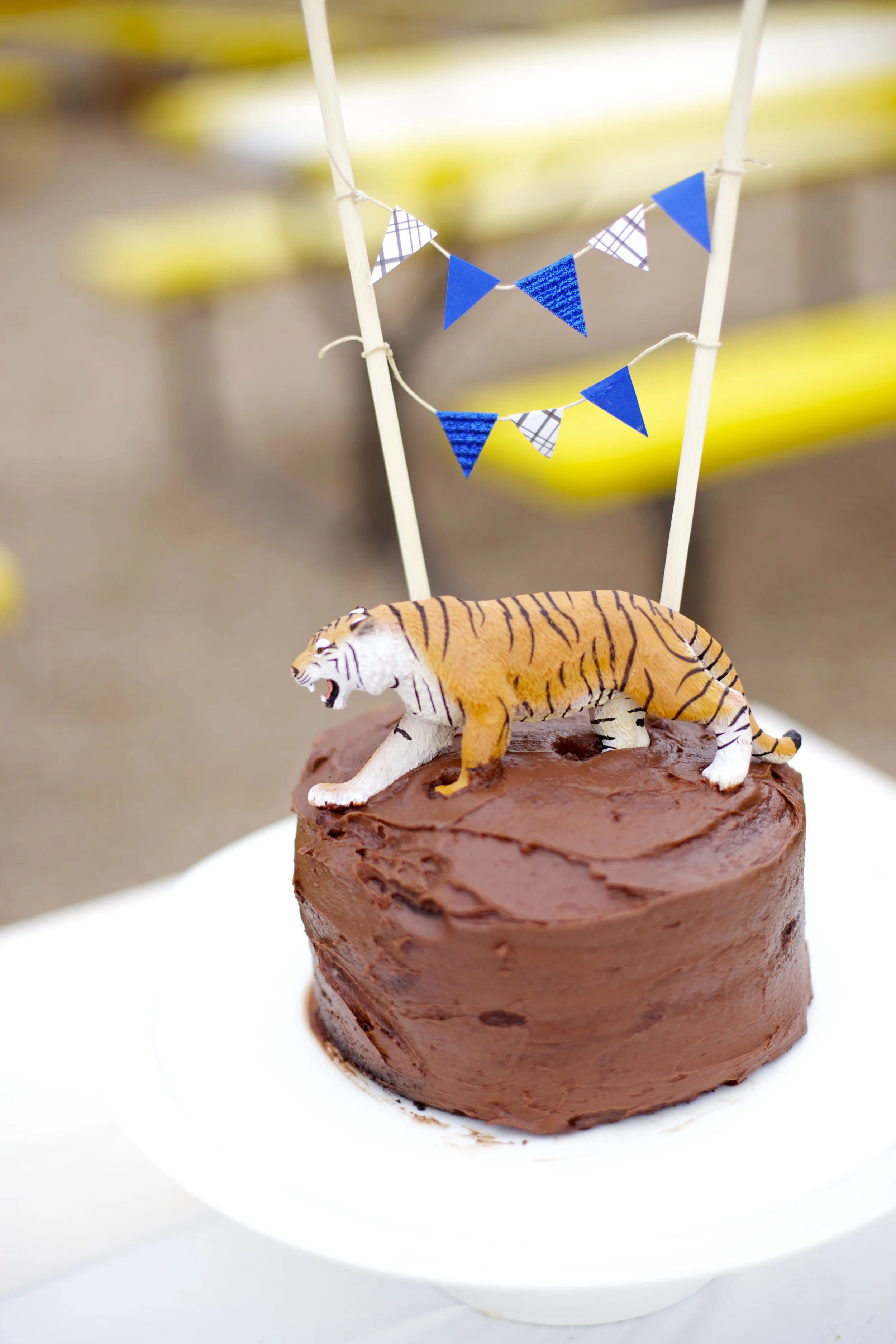 pax4Birthday2.jpg