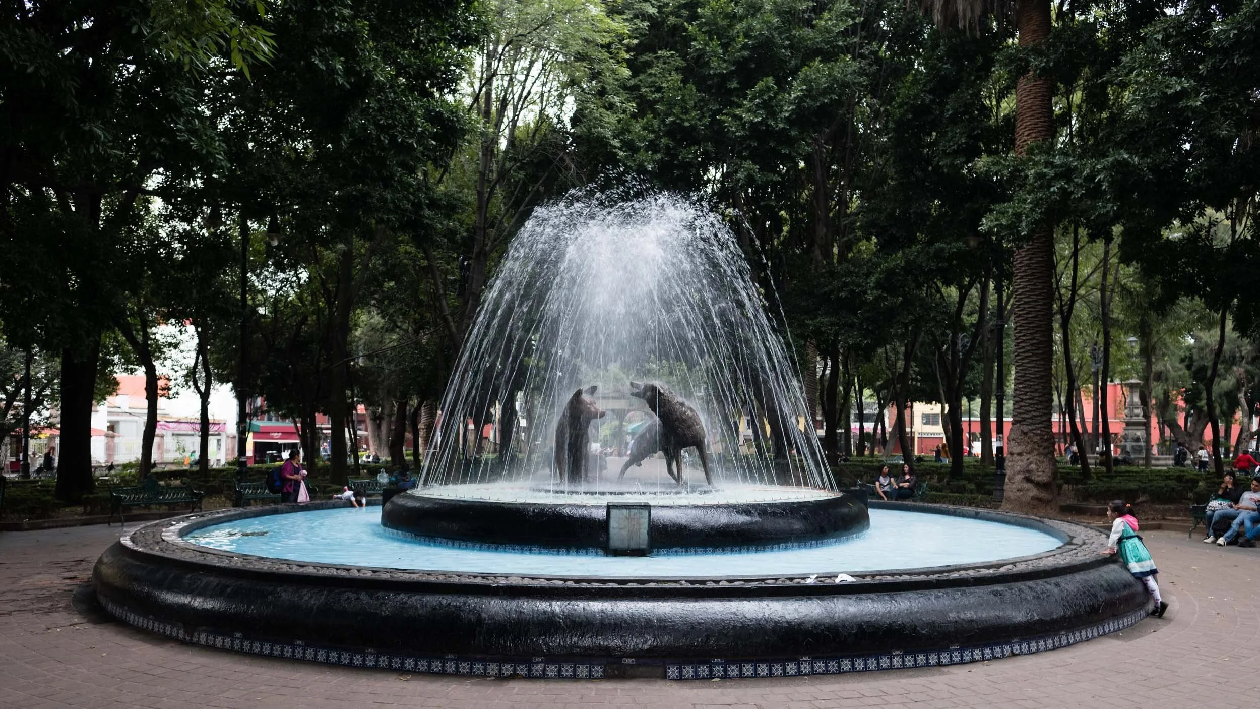 coyoacan-mexico-city-park-fountain.jpg
