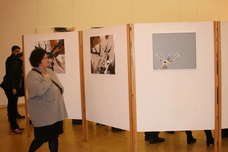 Herbstausstellung - 20.11.2015