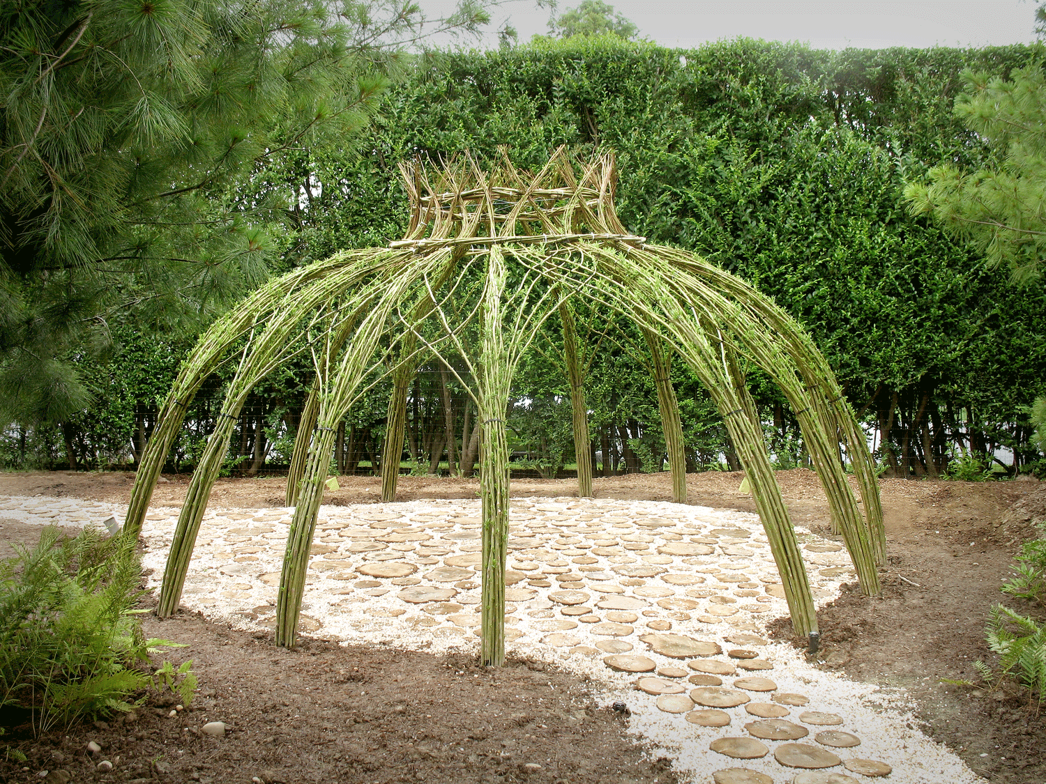 Living Willow Structures By Bonnie Gale Living Willow Structures By Bonnie Gale