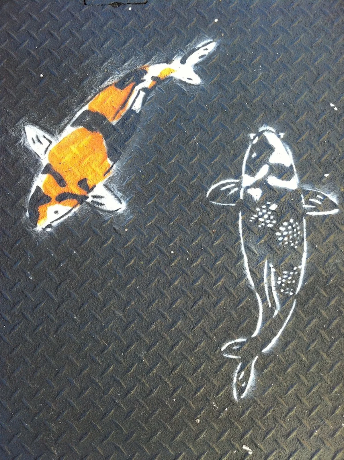Carp.jpg