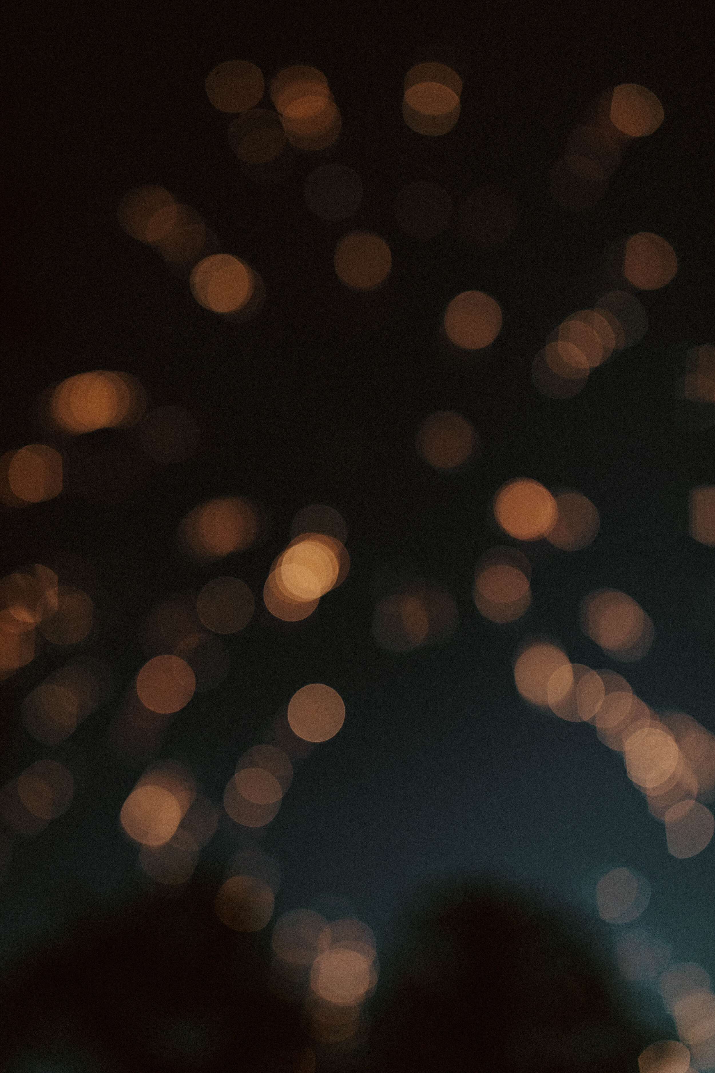 7F8A5265.jpg