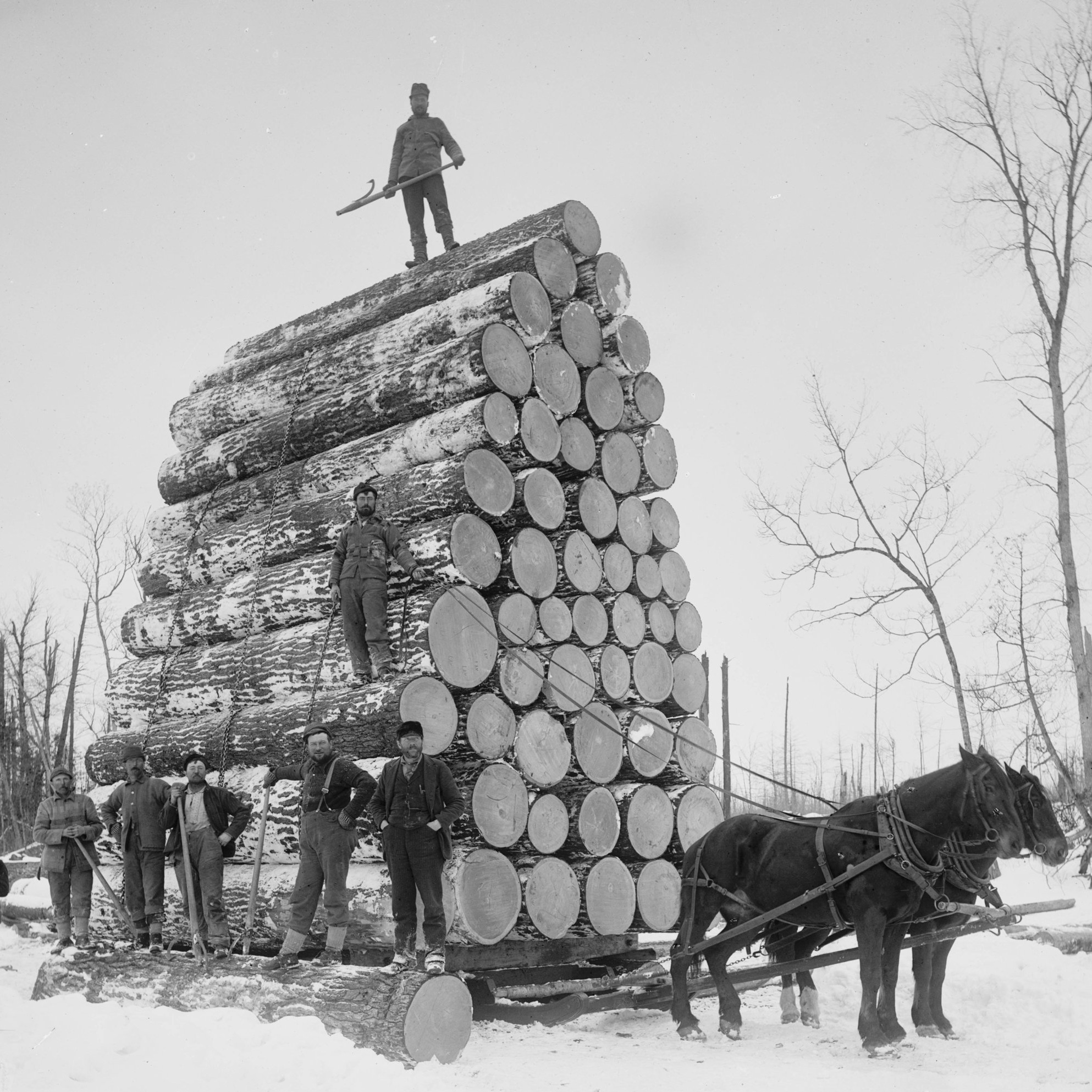 Historic logging photo — William Kaven Architecture