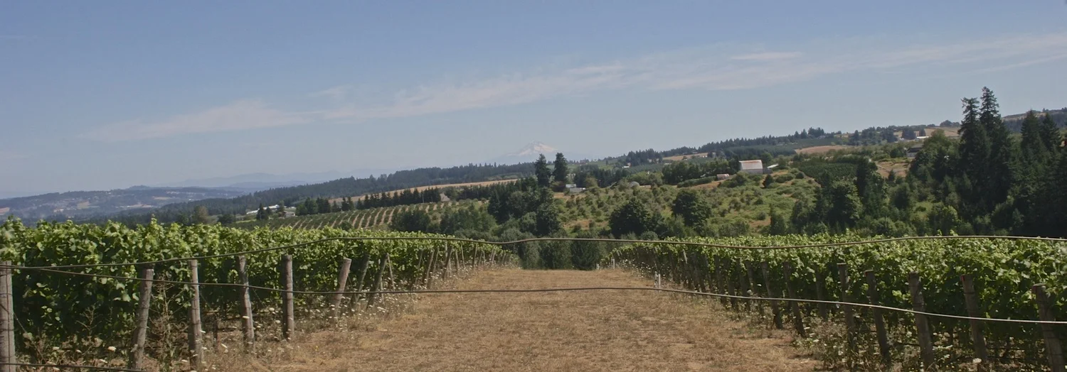 Oregon Wine Country, William Kaven Architecture