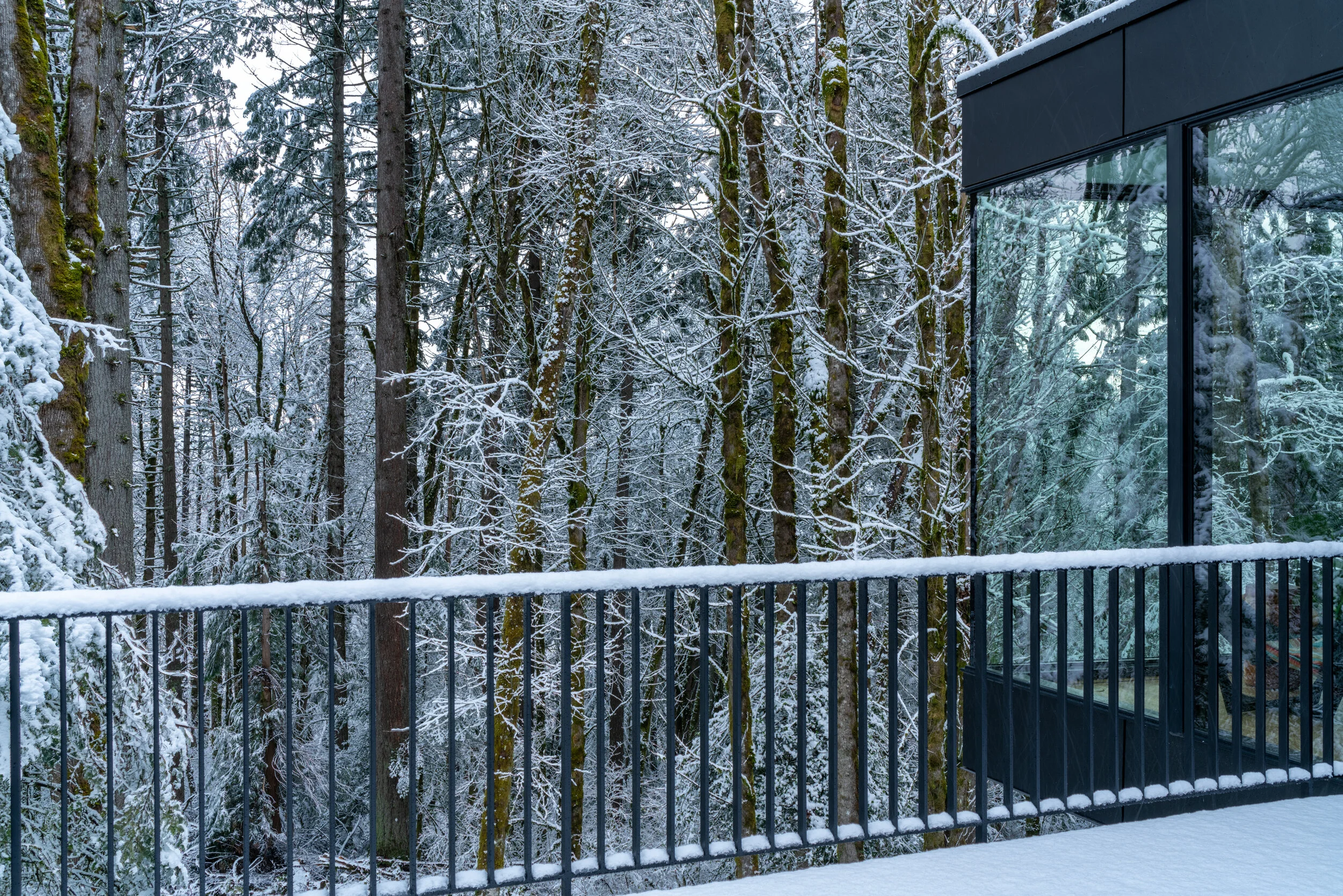 Modern house terrace in snowy forest — William Kaven Architecture